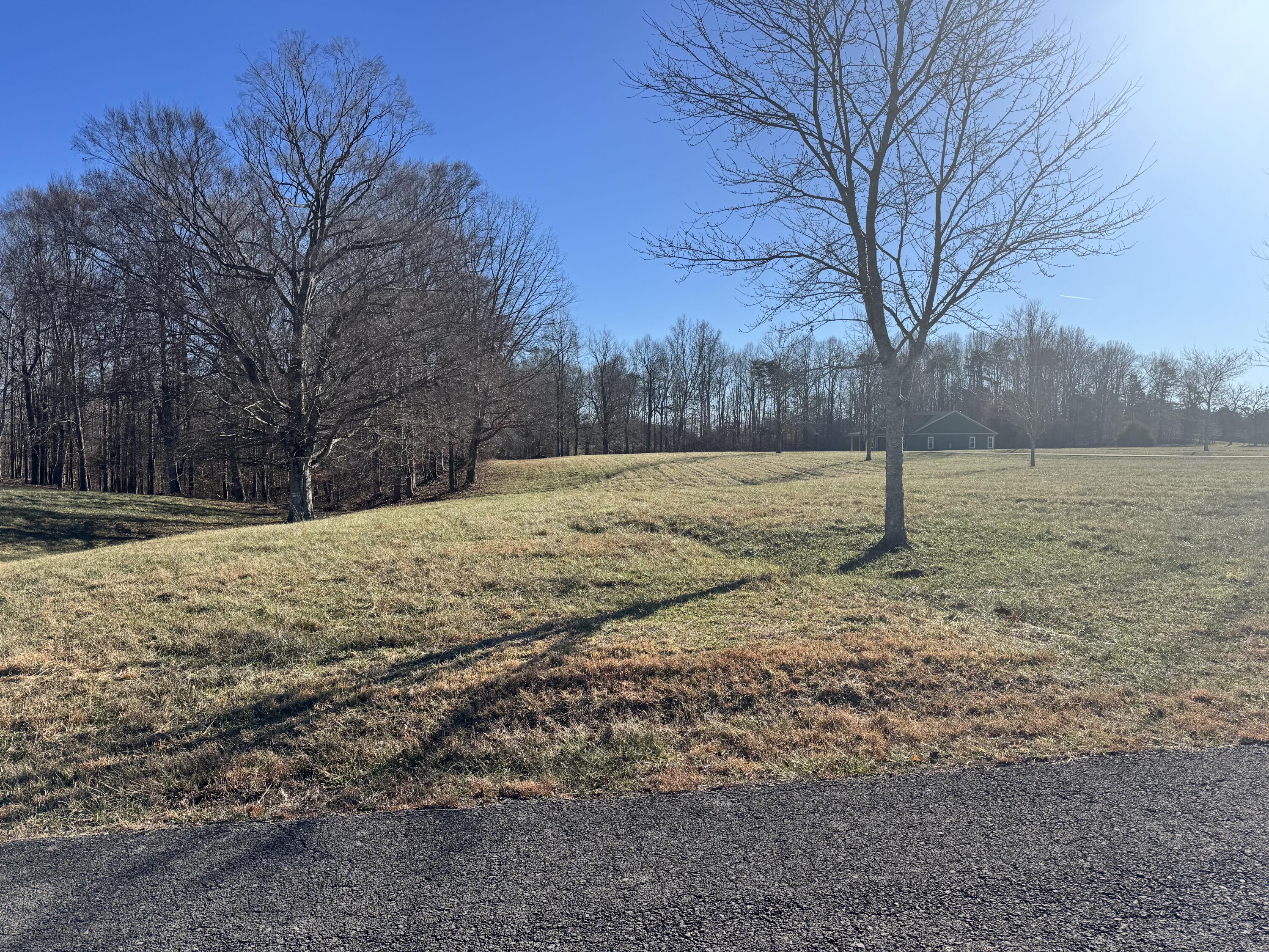 425 Cliffside Drive Property Photo 13