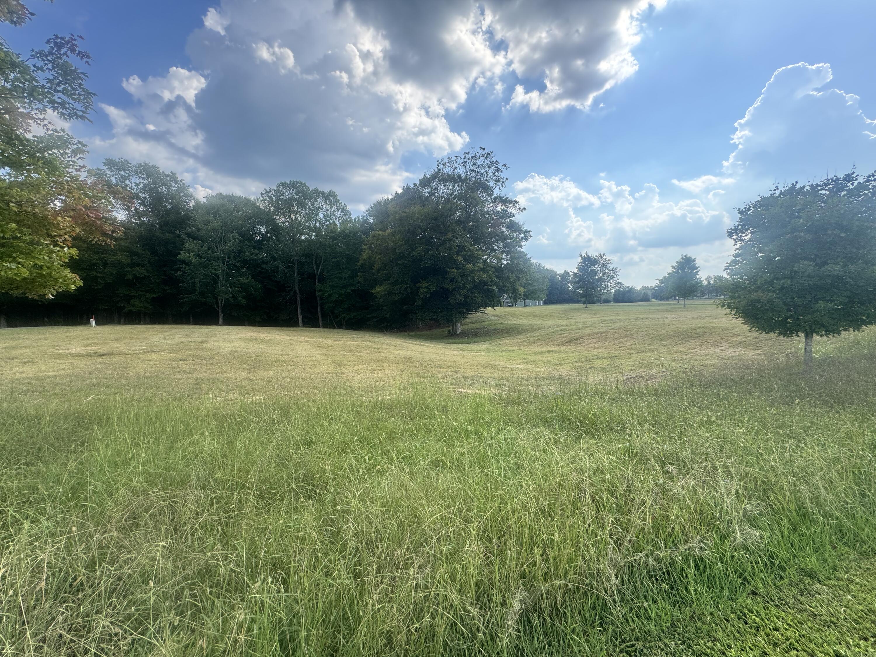 425 Cliffside Drive Property Photo 17