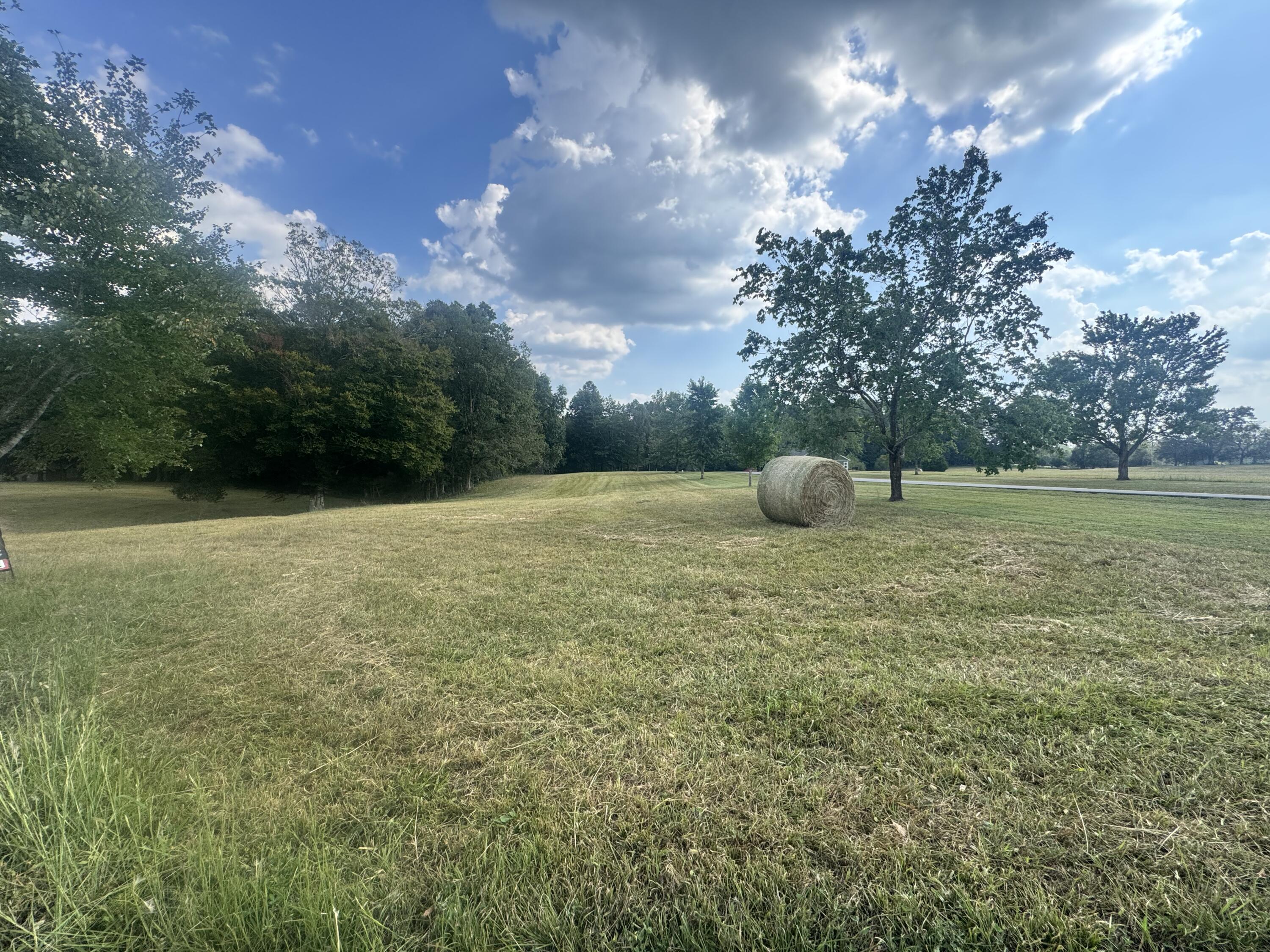 425 Cliffside Drive Property Photo 18
