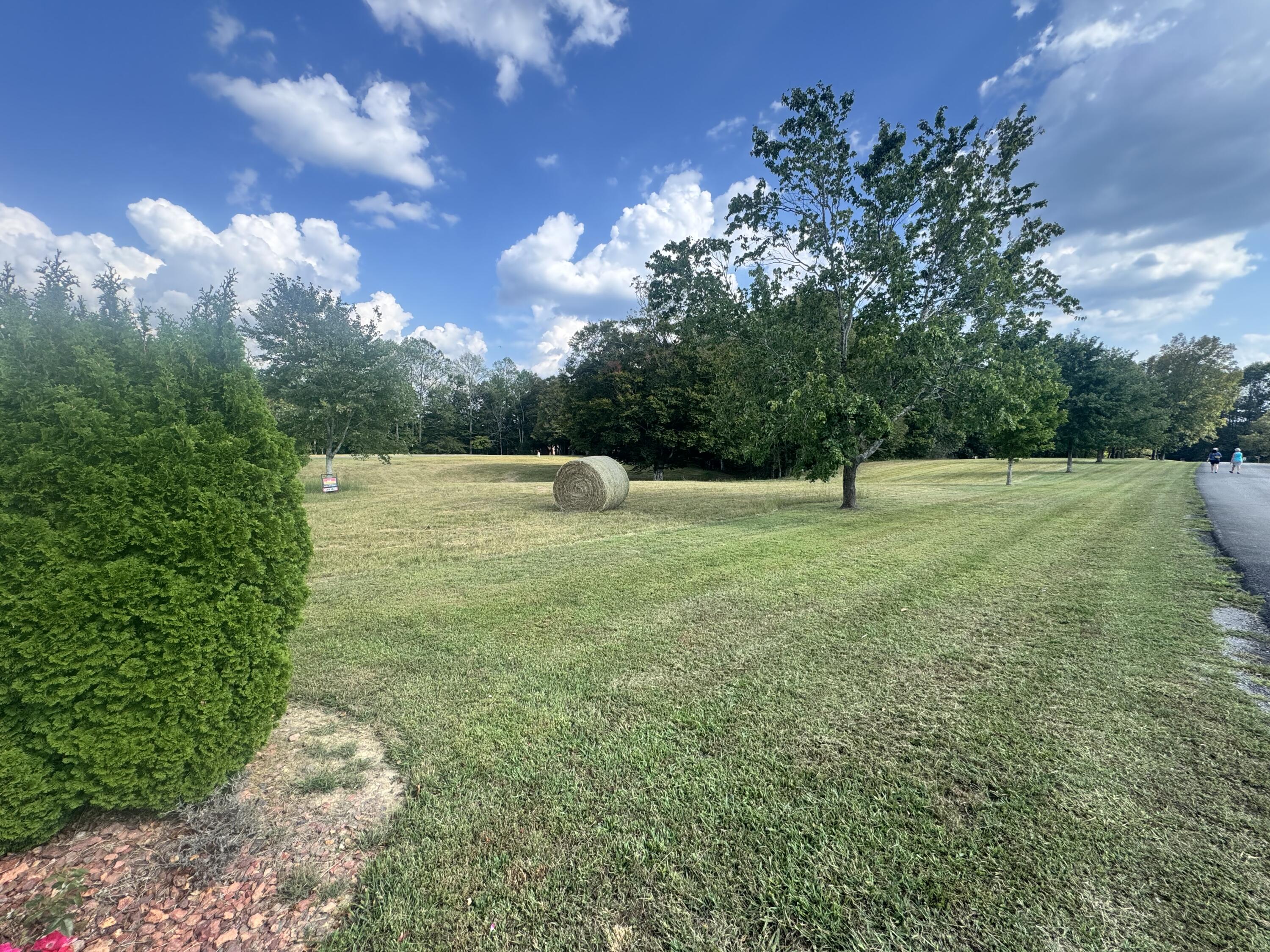 425 Cliffside Drive Property Photo 20