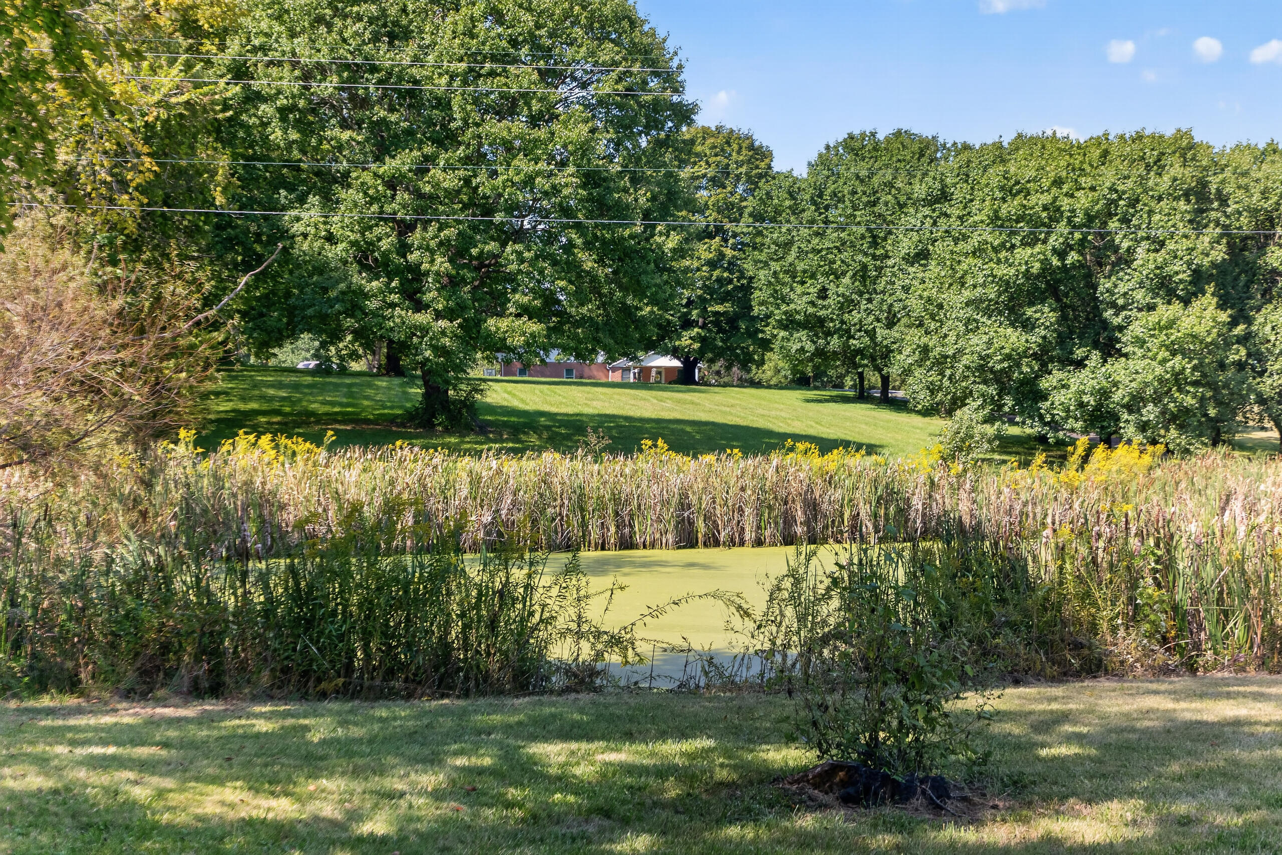 5300 Stewart Road Property Photo 39