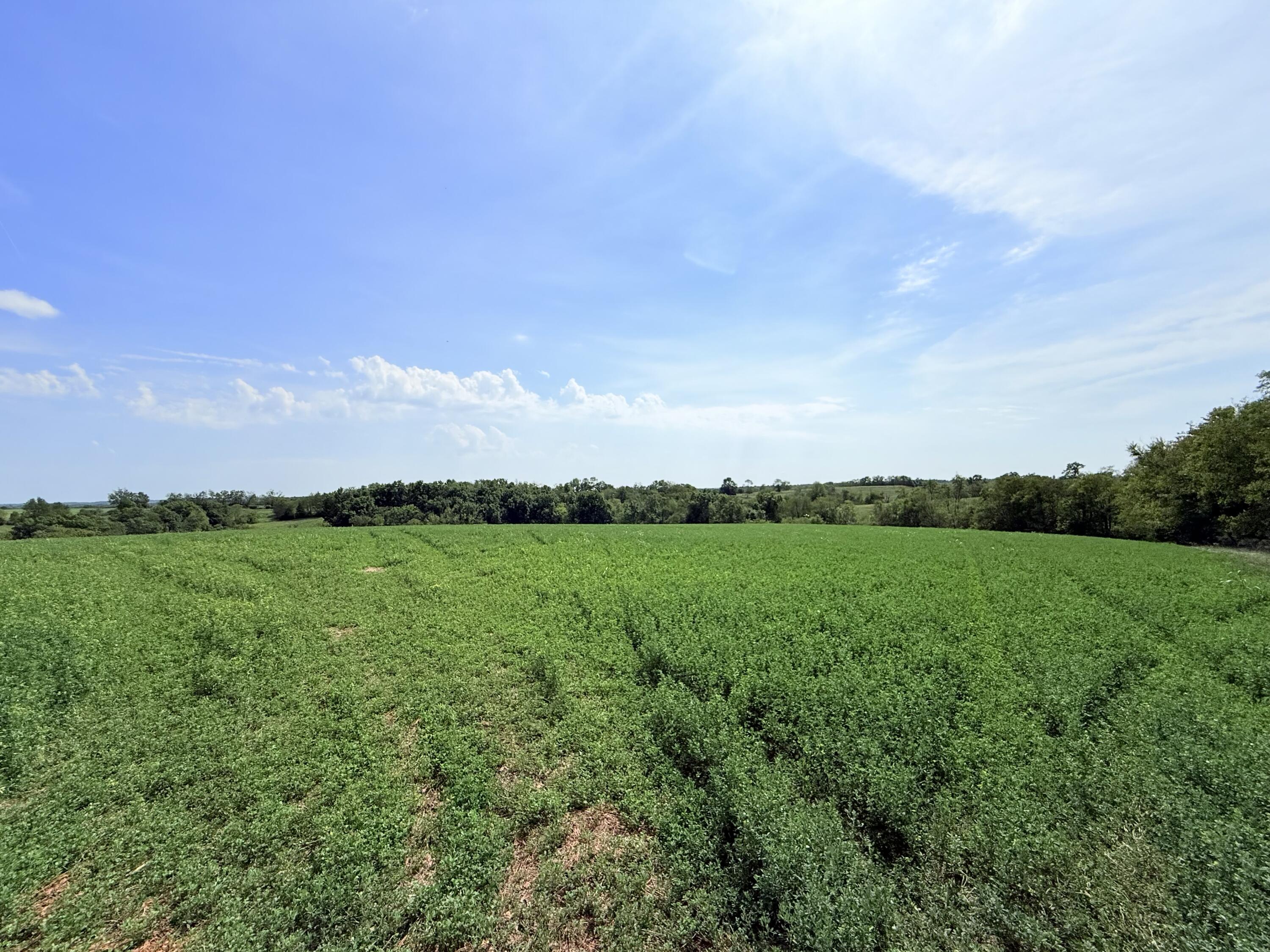 1460 Upper Lick Road Property Photo 7
