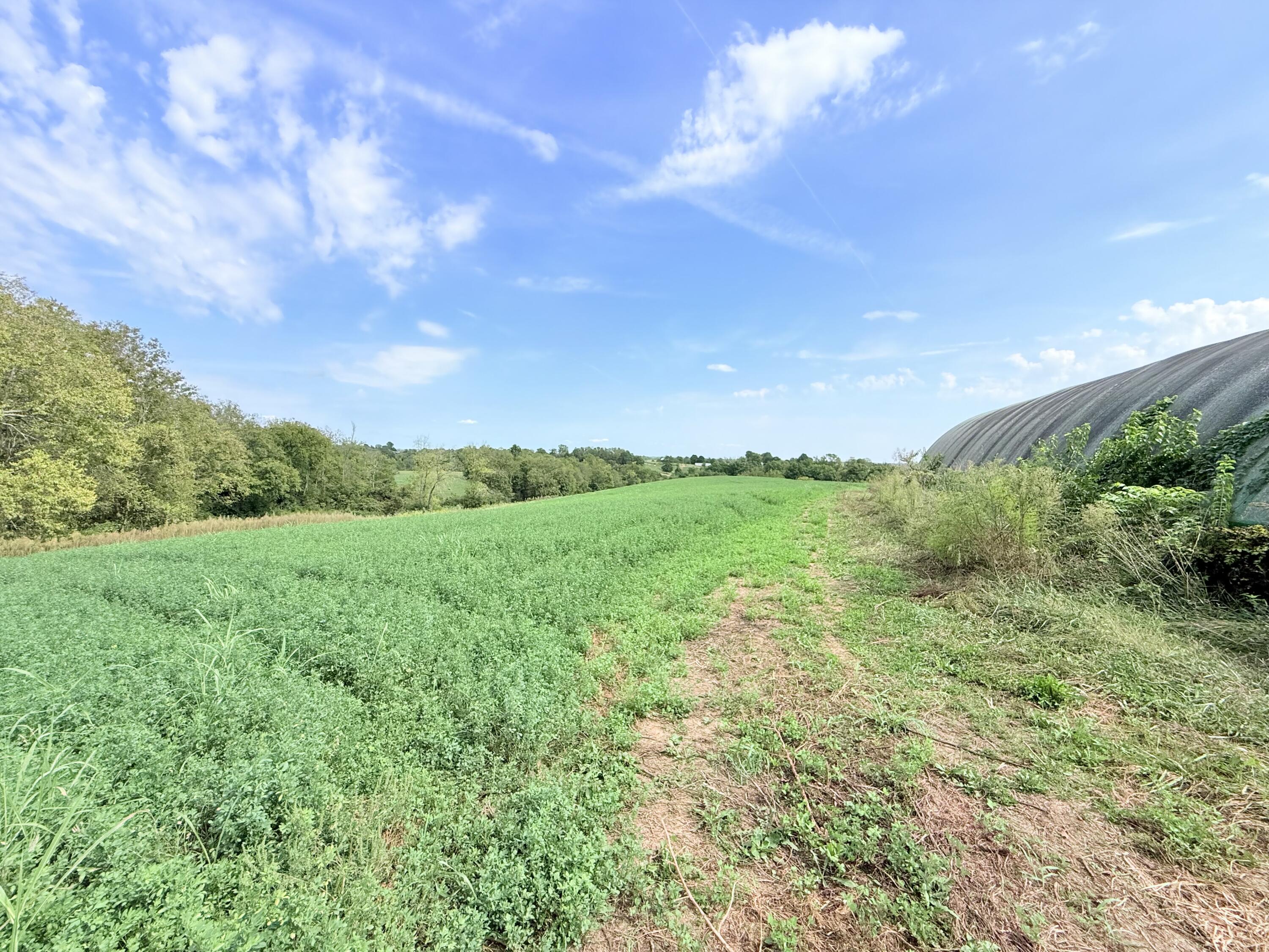 1460 Upper Lick Road Property Photo 19