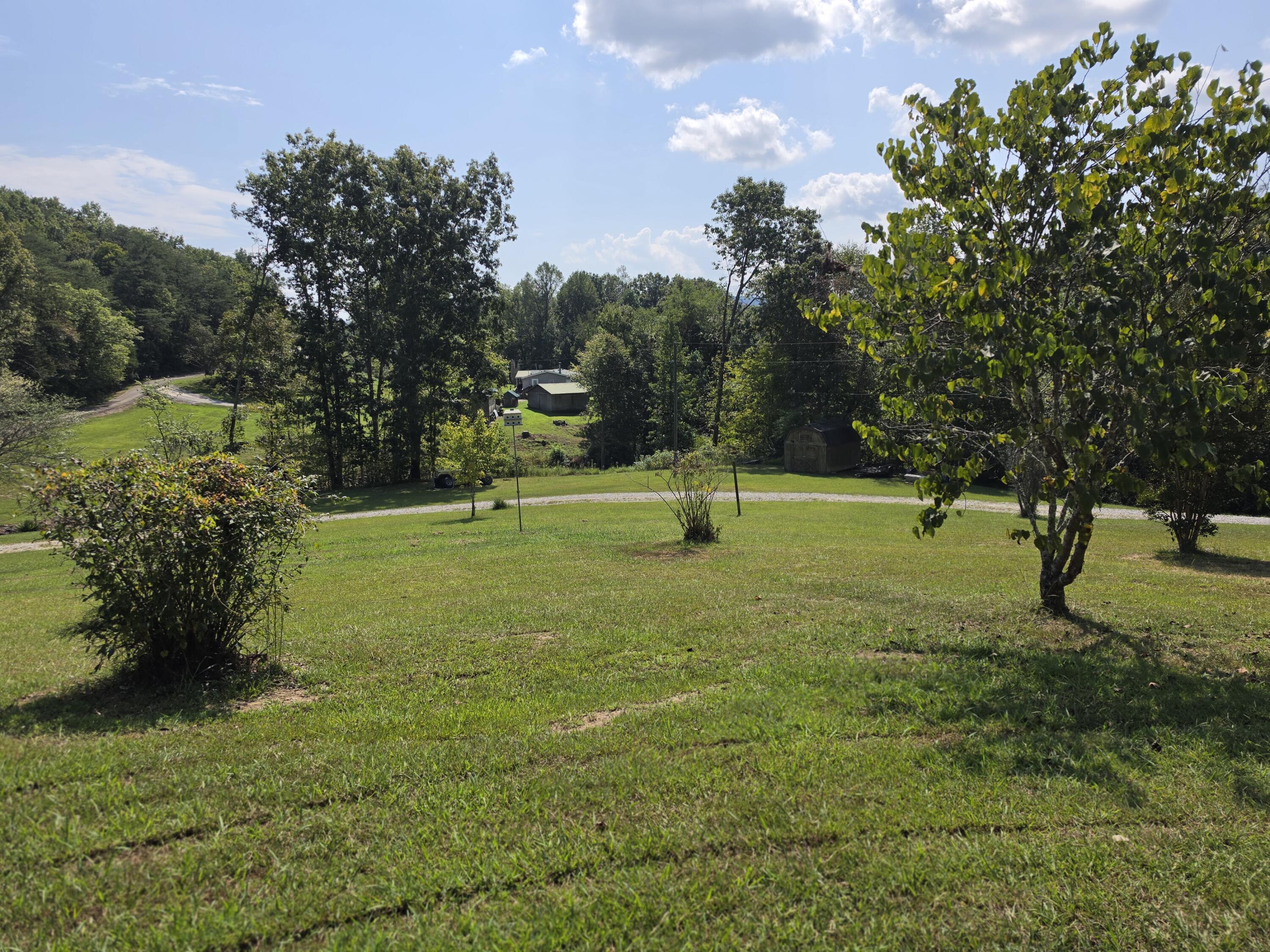 231 Cox Road Property Photo 4