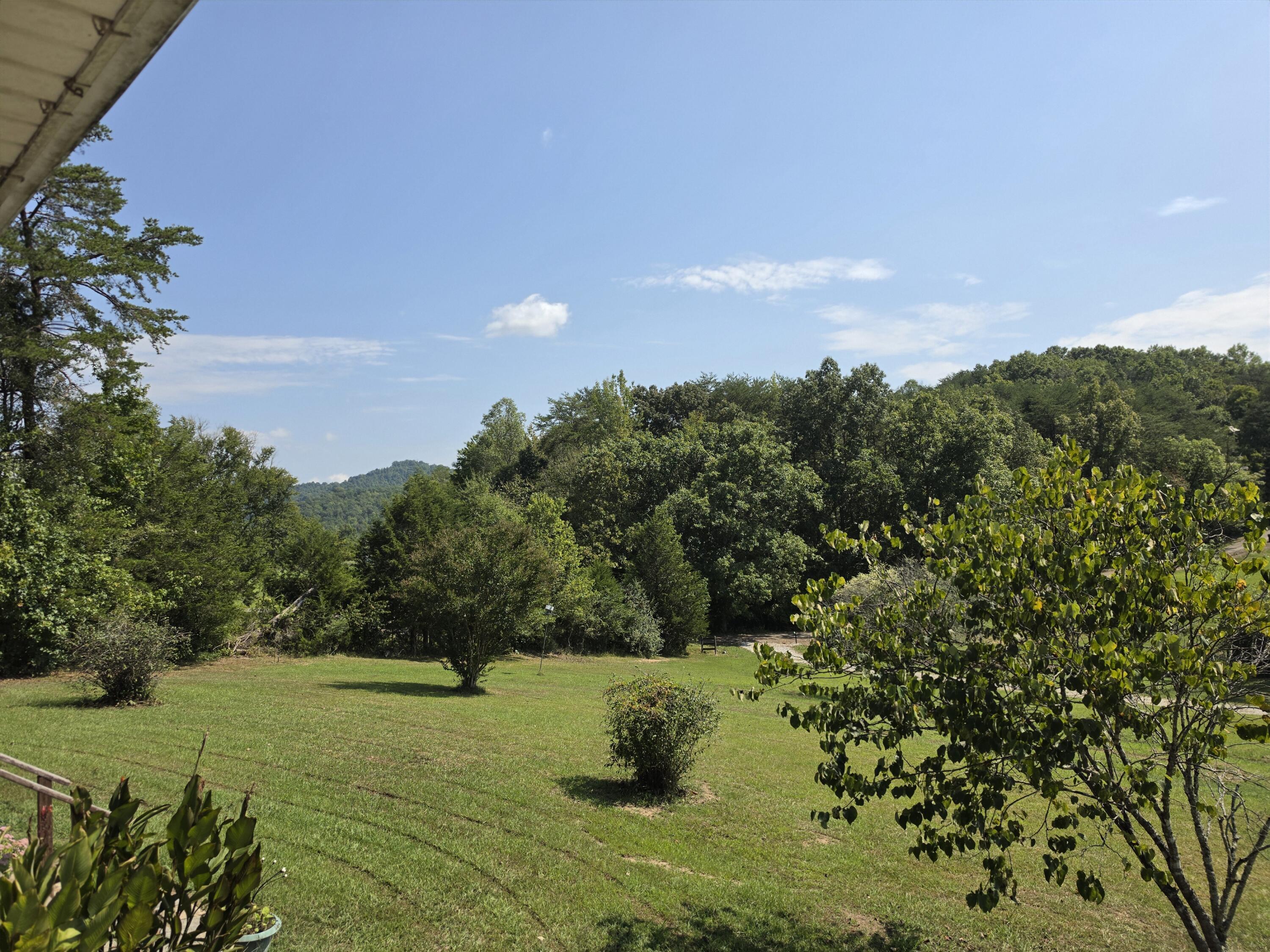 231 Cox Road Property Photo 5