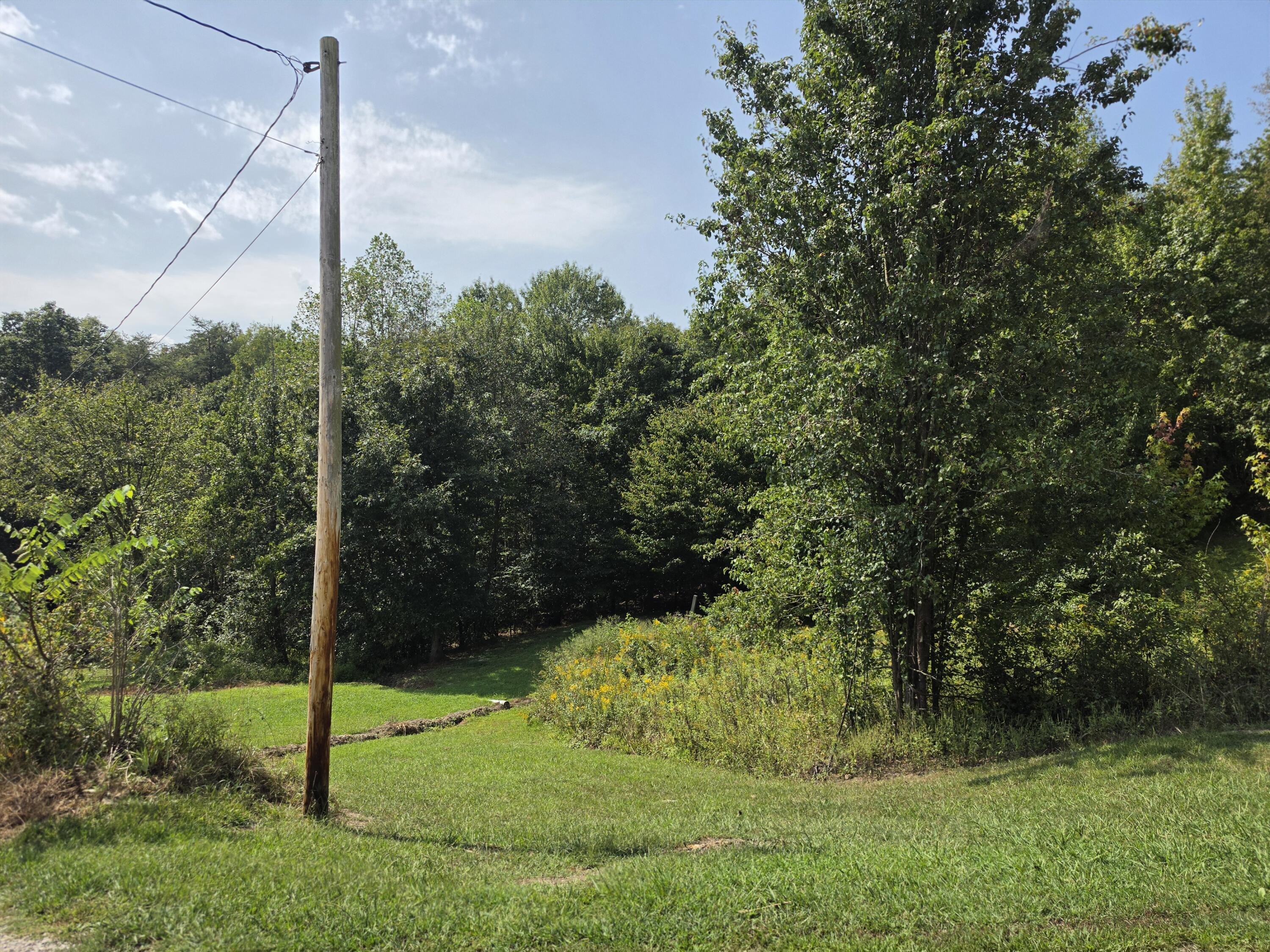 231 Cox Road Property Photo 6