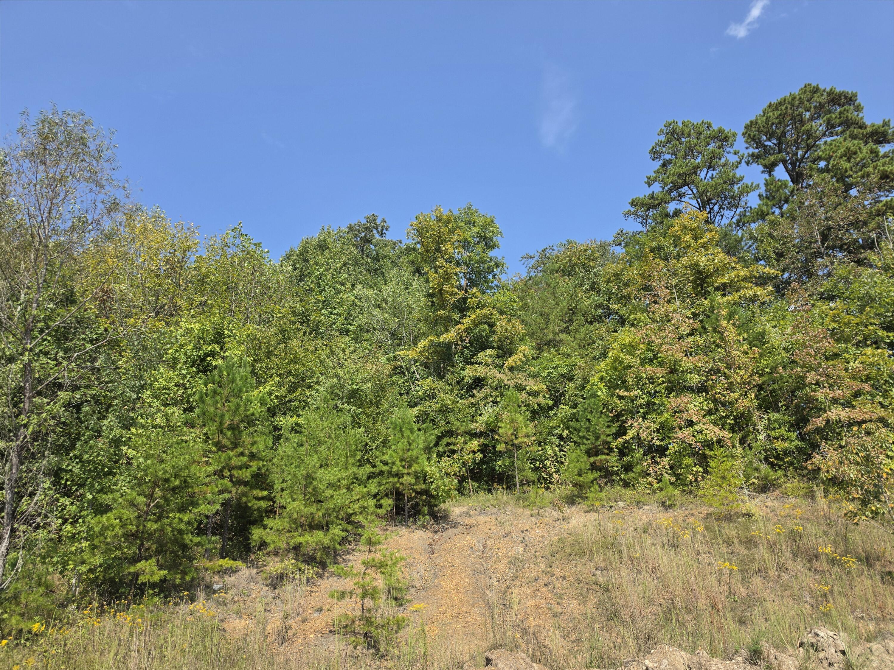 231 Cox Road Property Photo 9