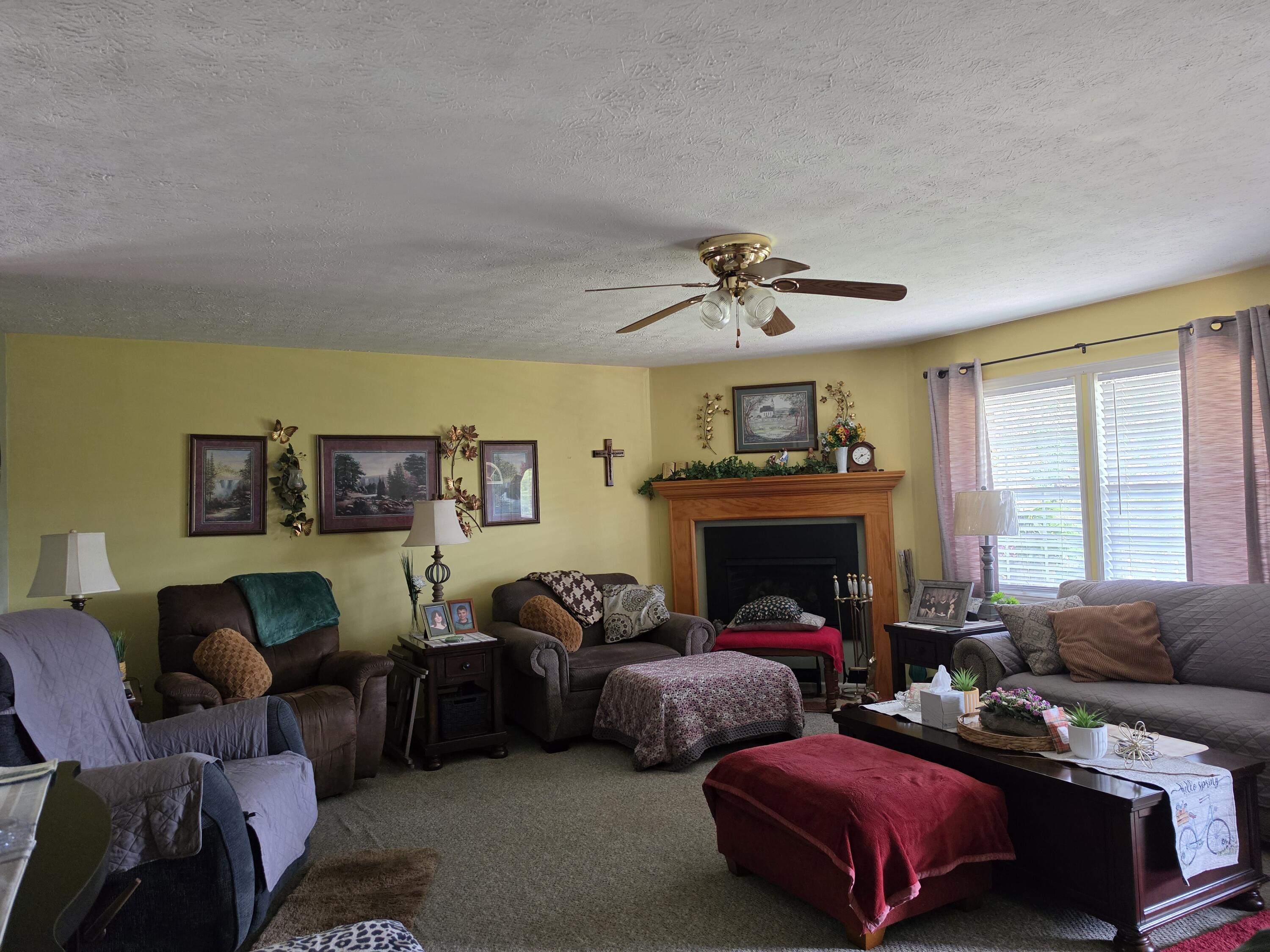 231 Cox Road Property Photo 17