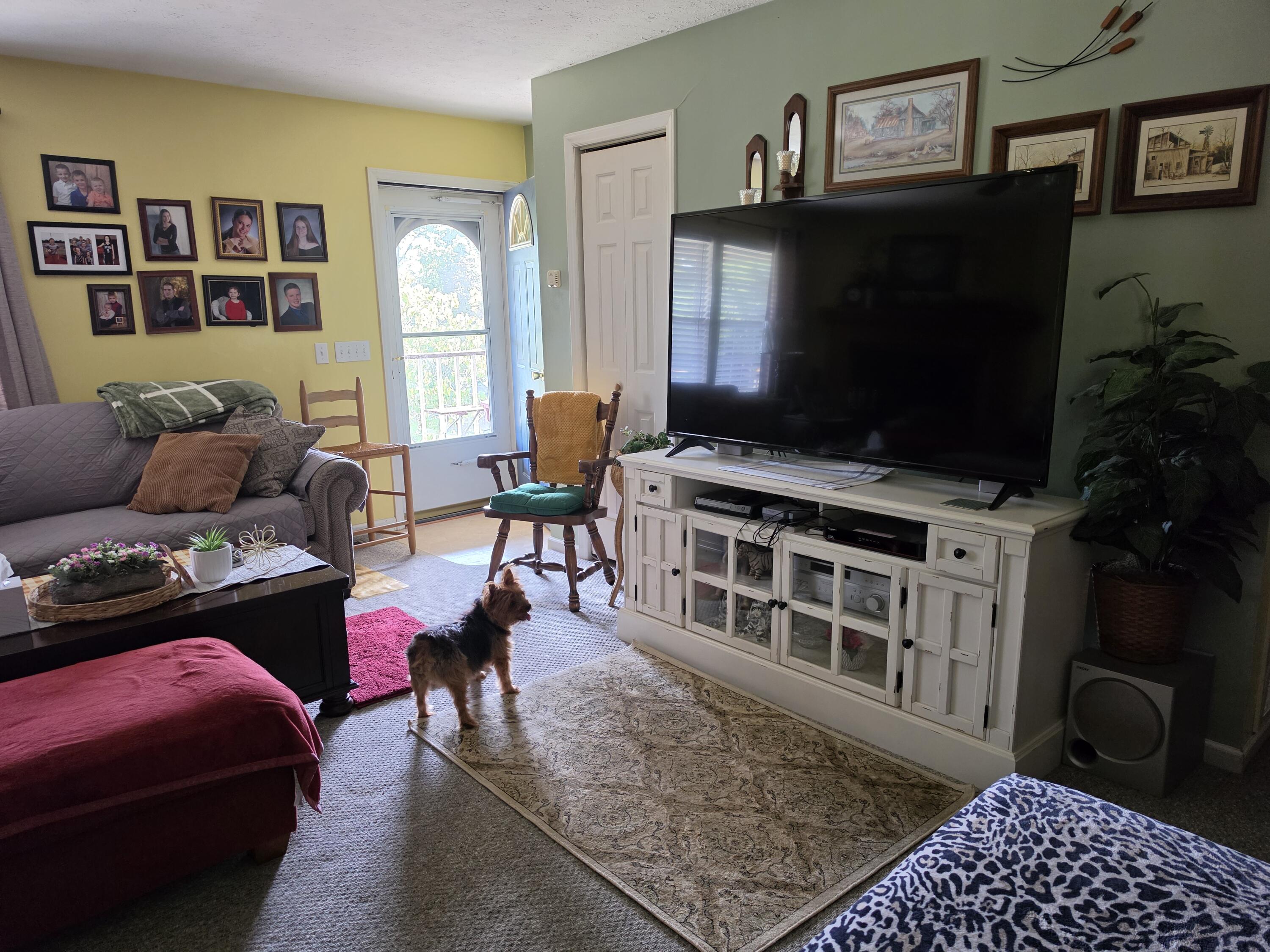 231 Cox Road Property Photo 18