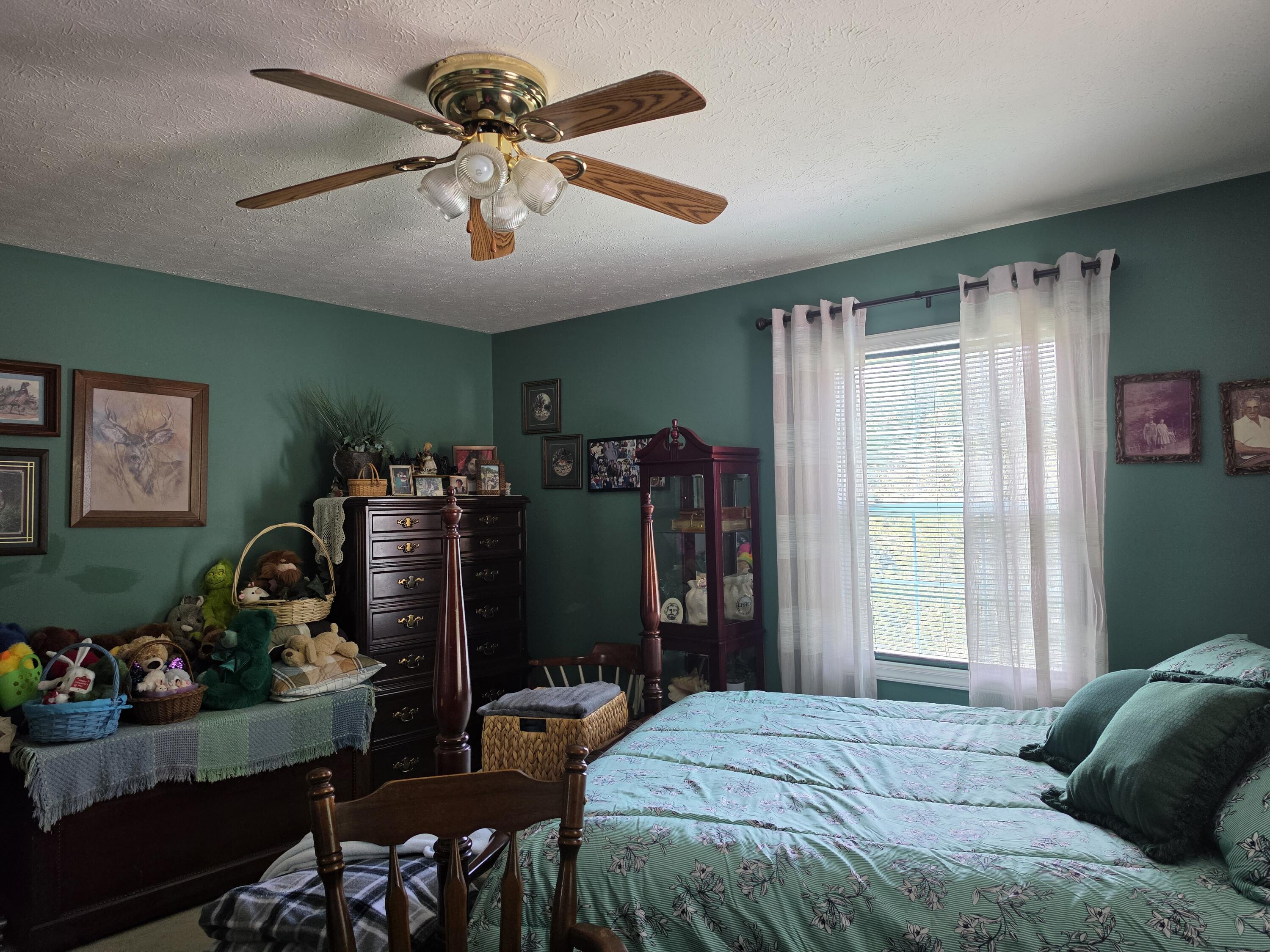 231 Cox Road Property Photo 29