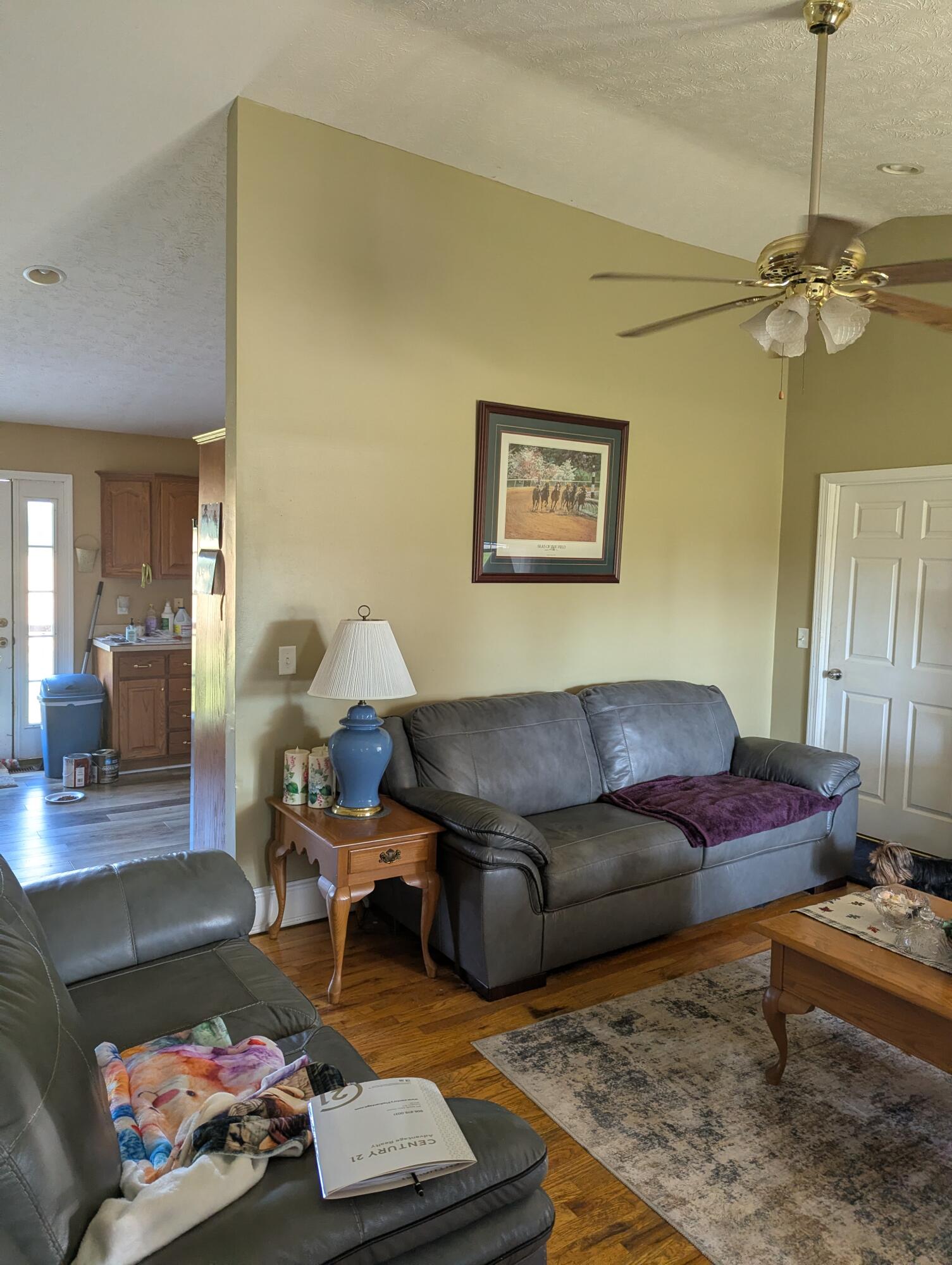 248 Harts Place Drive Property Photo 8