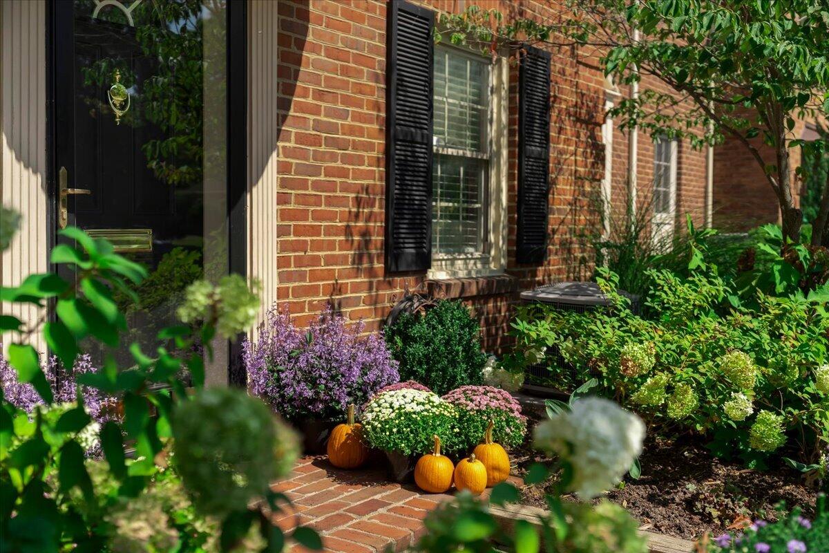 1 Mentelle Park A Property Photo 2