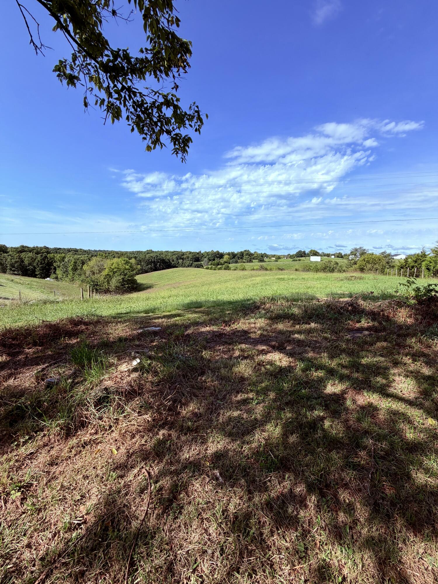 0 Leaning Oak Road Property Photo 11