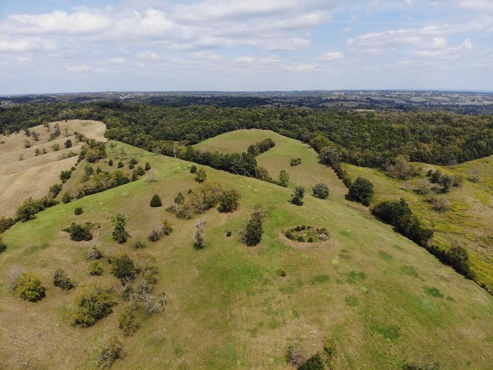 272 Day Road Property Photo 16
