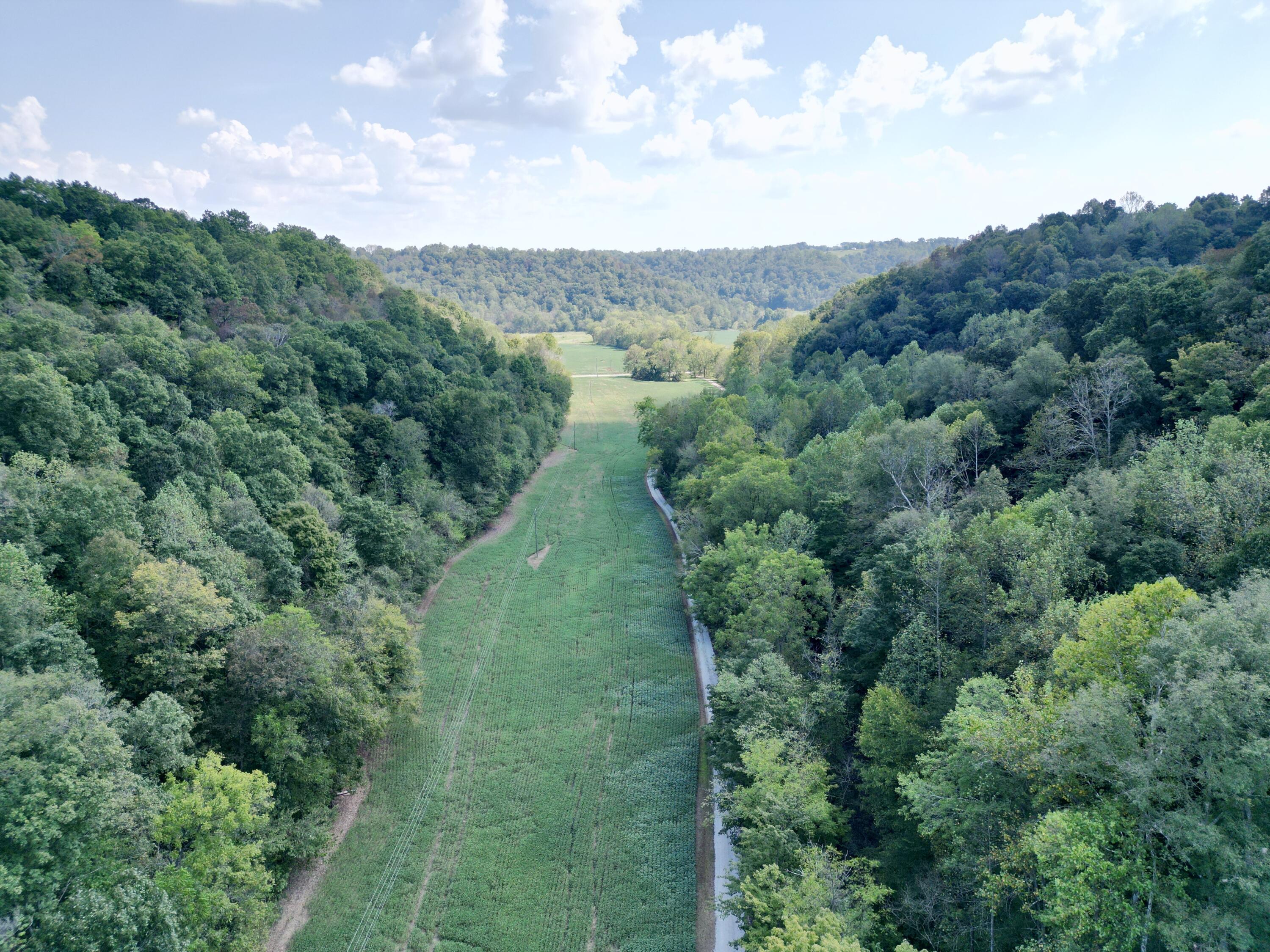 690 Ansel Road Property Photo 4