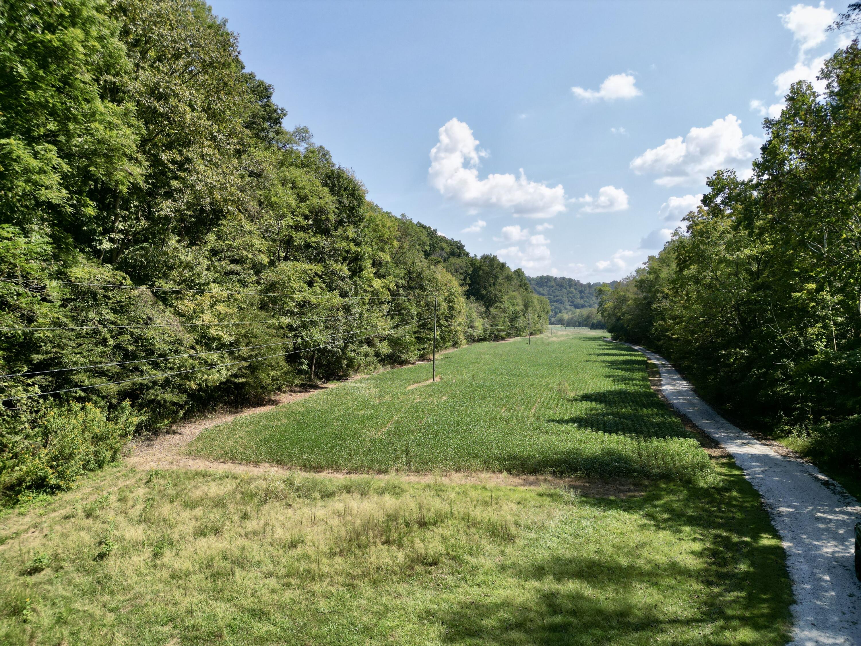 690 Ansel Road Property Photo 48