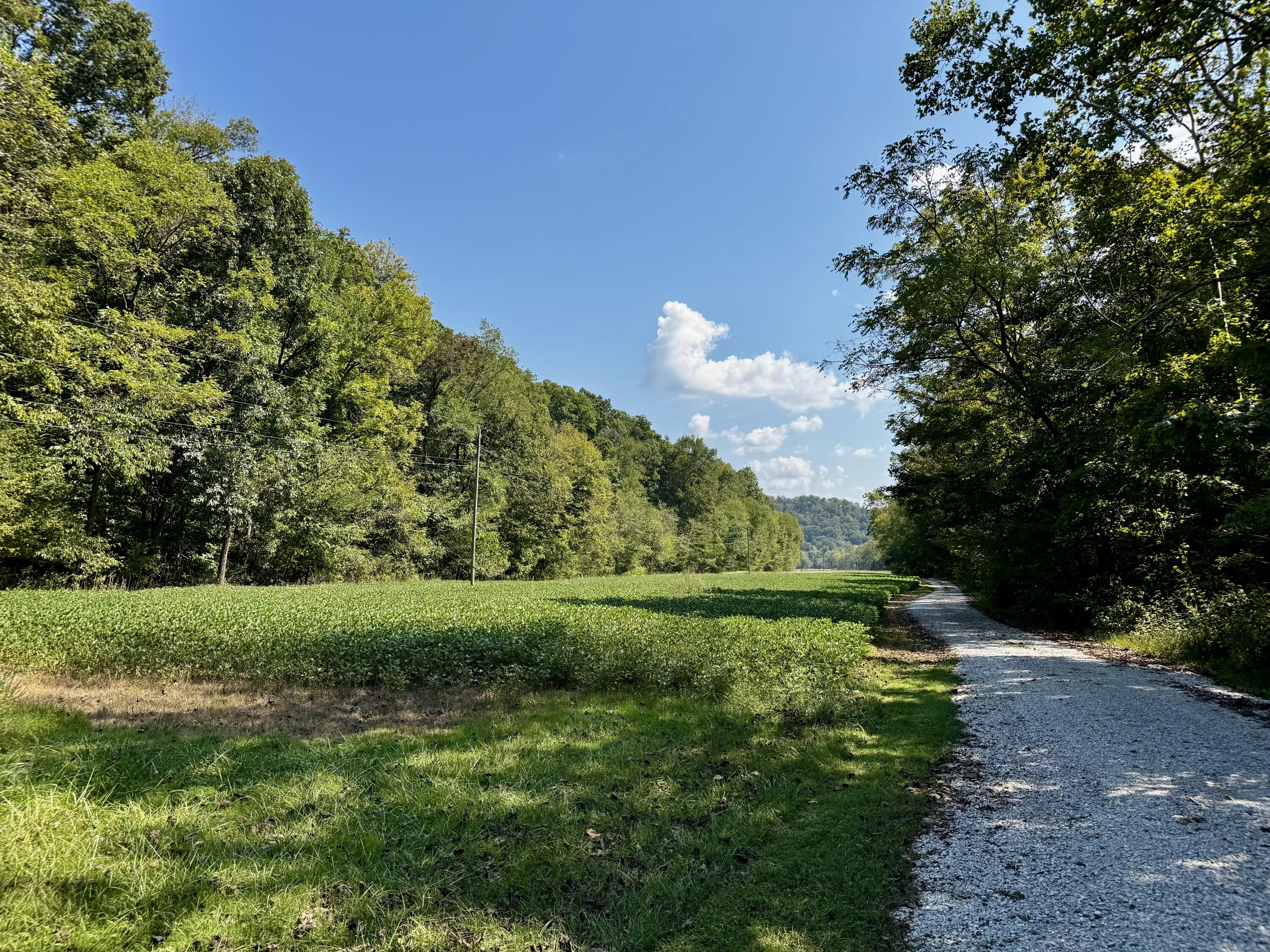 690 Ansel Road Property Photo 76