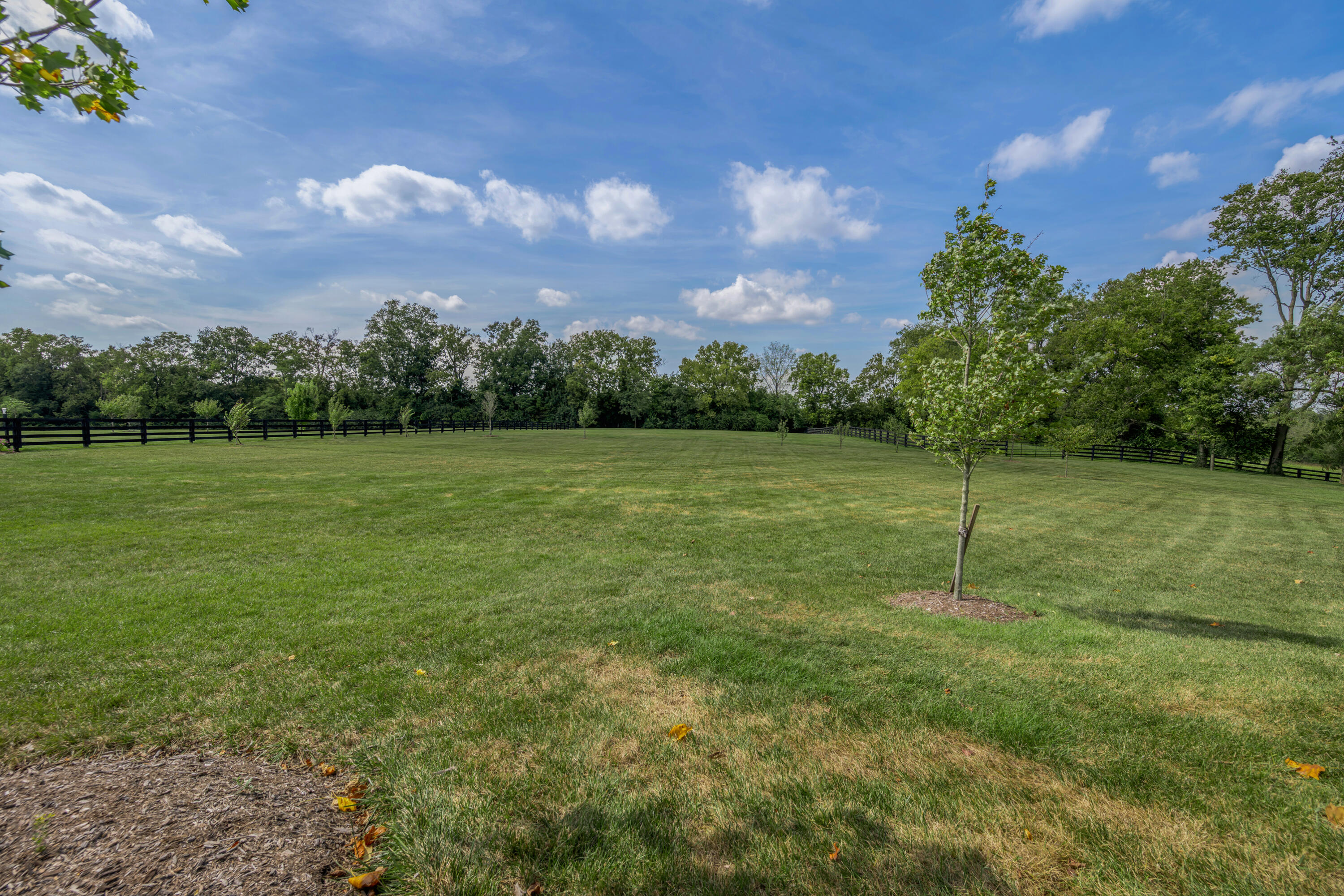 136 Doe Valley Property Photo 69
