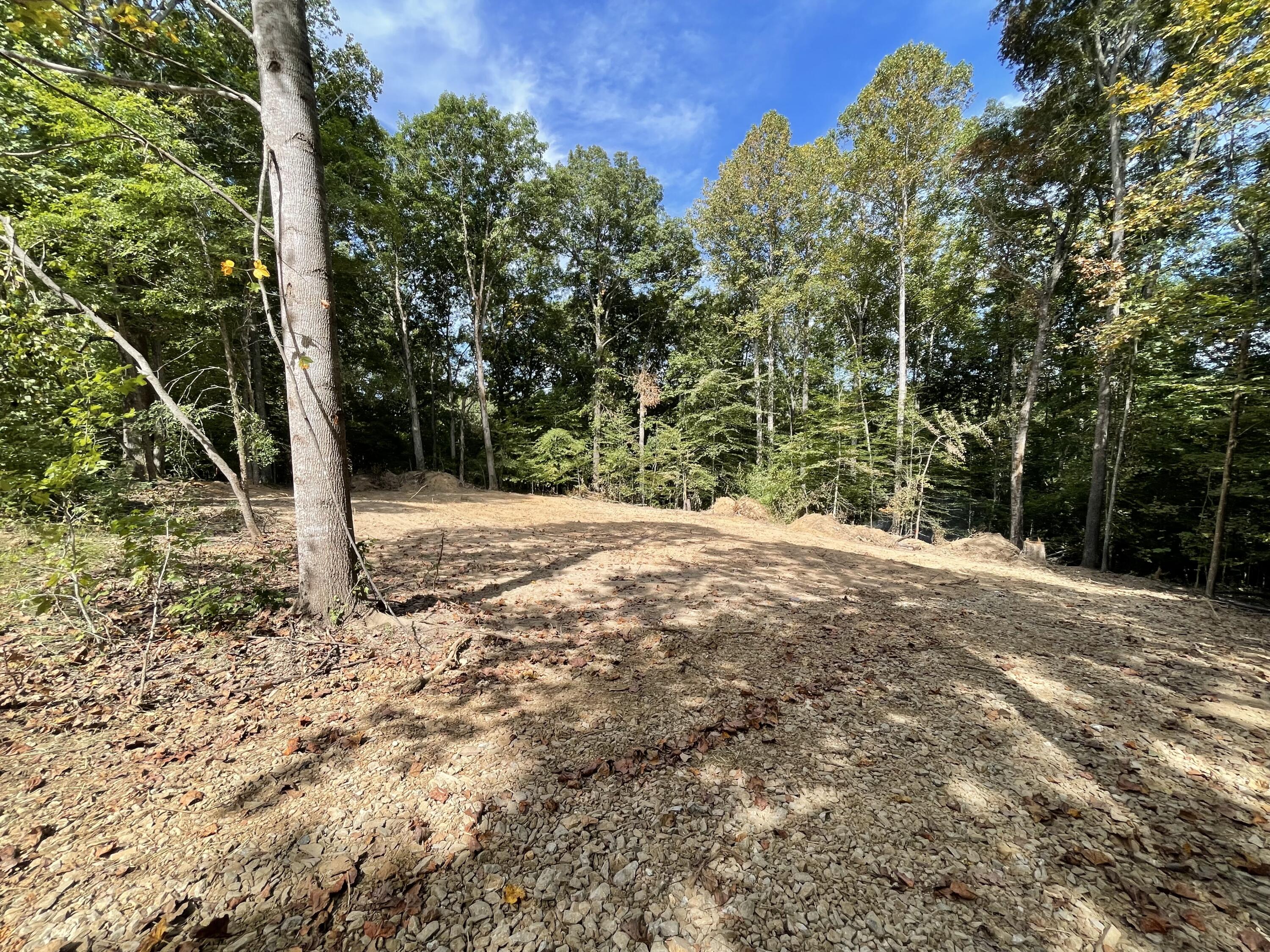 Lot 20 Windsor Way Property Photo 2