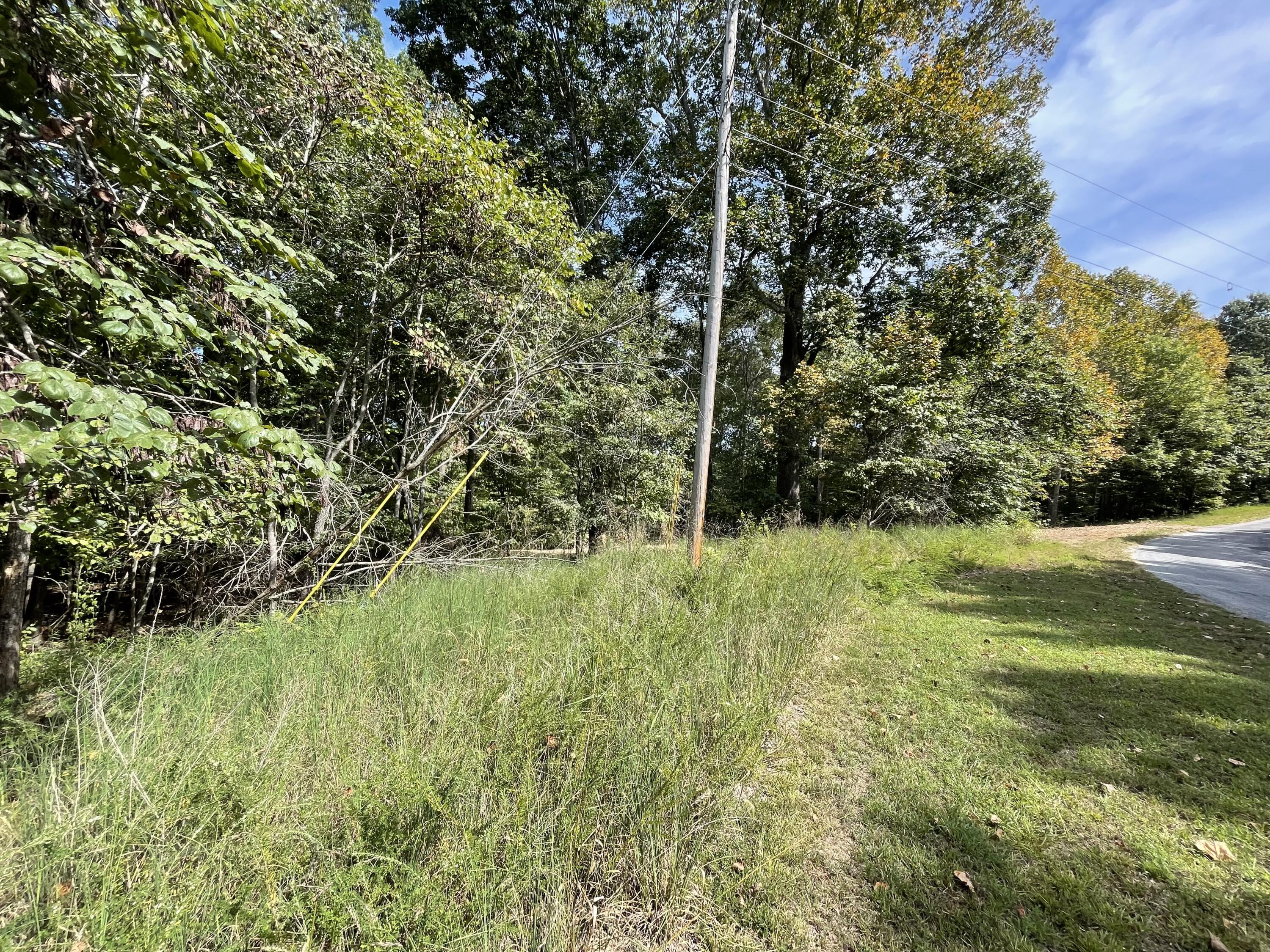 Lot 20 Windsor Way Property Photo 5