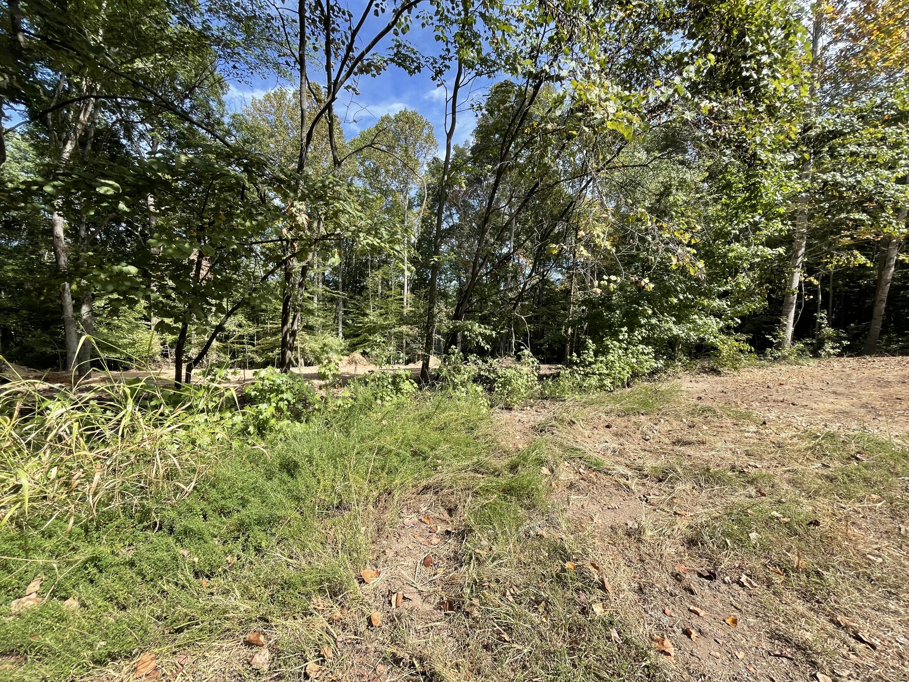 Lot 20 Windsor Way Property Photo 7