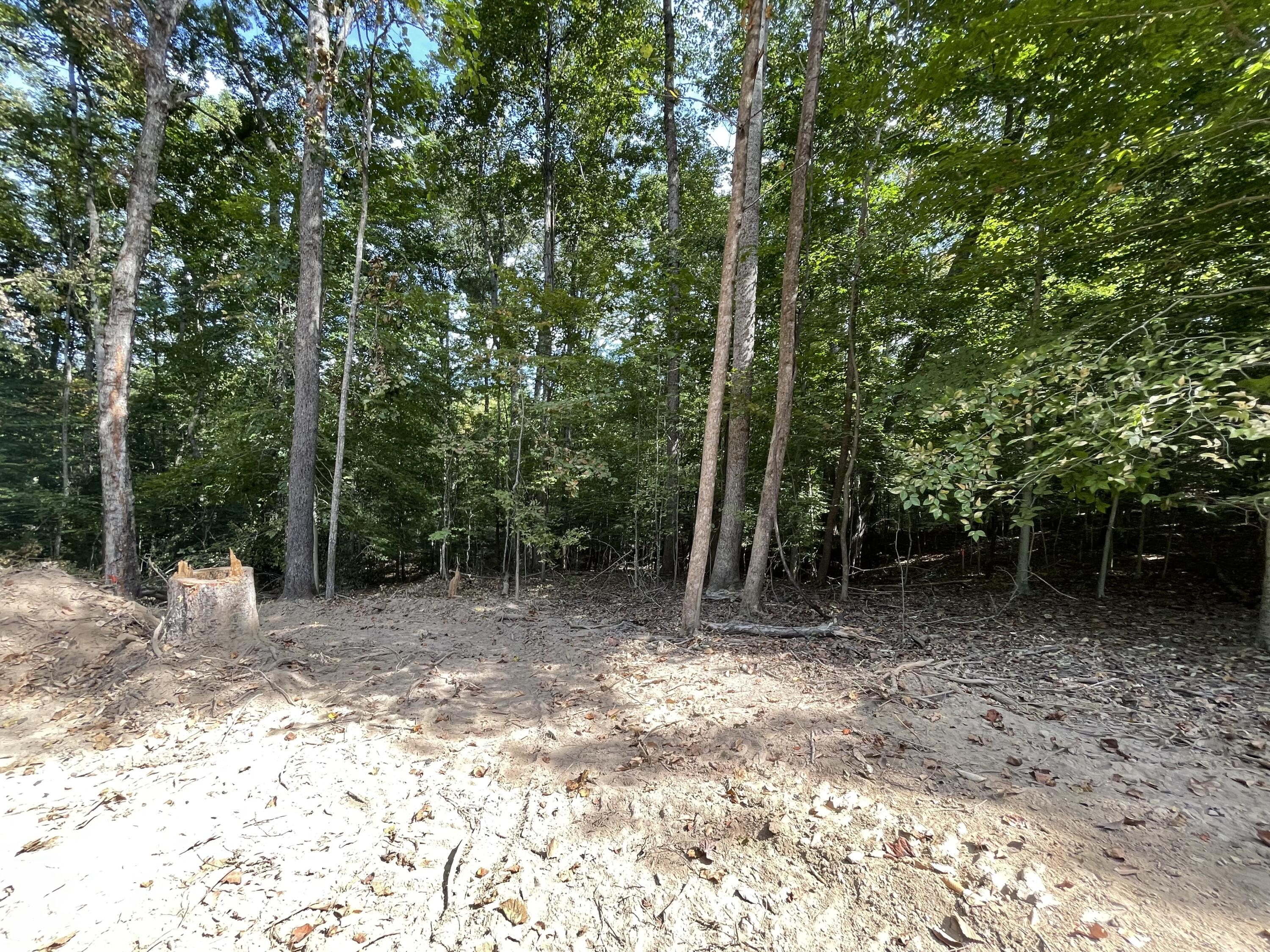 Lot 20 Windsor Way Property Photo 12