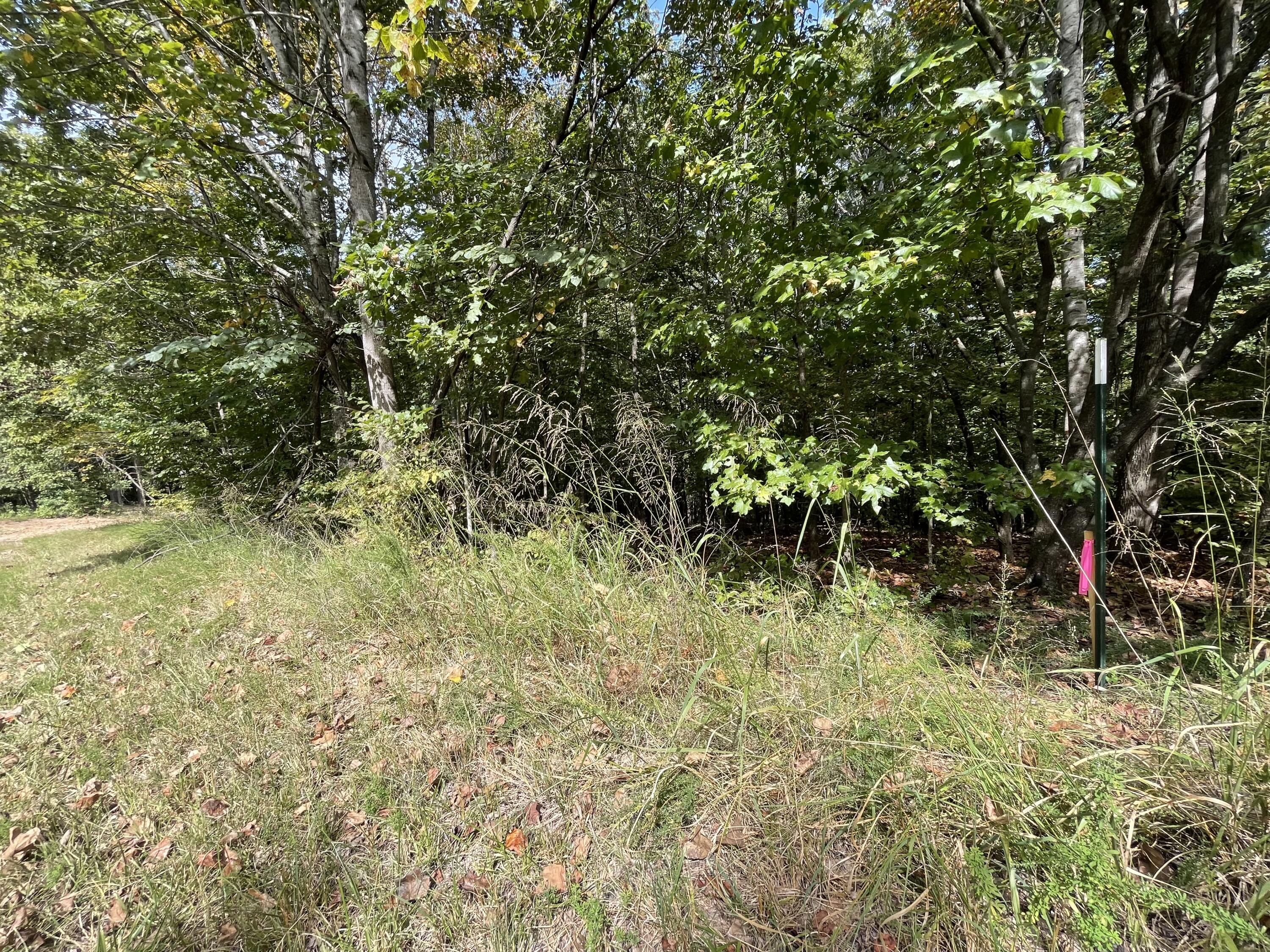 Lot 20 Windsor Way Property Photo 20