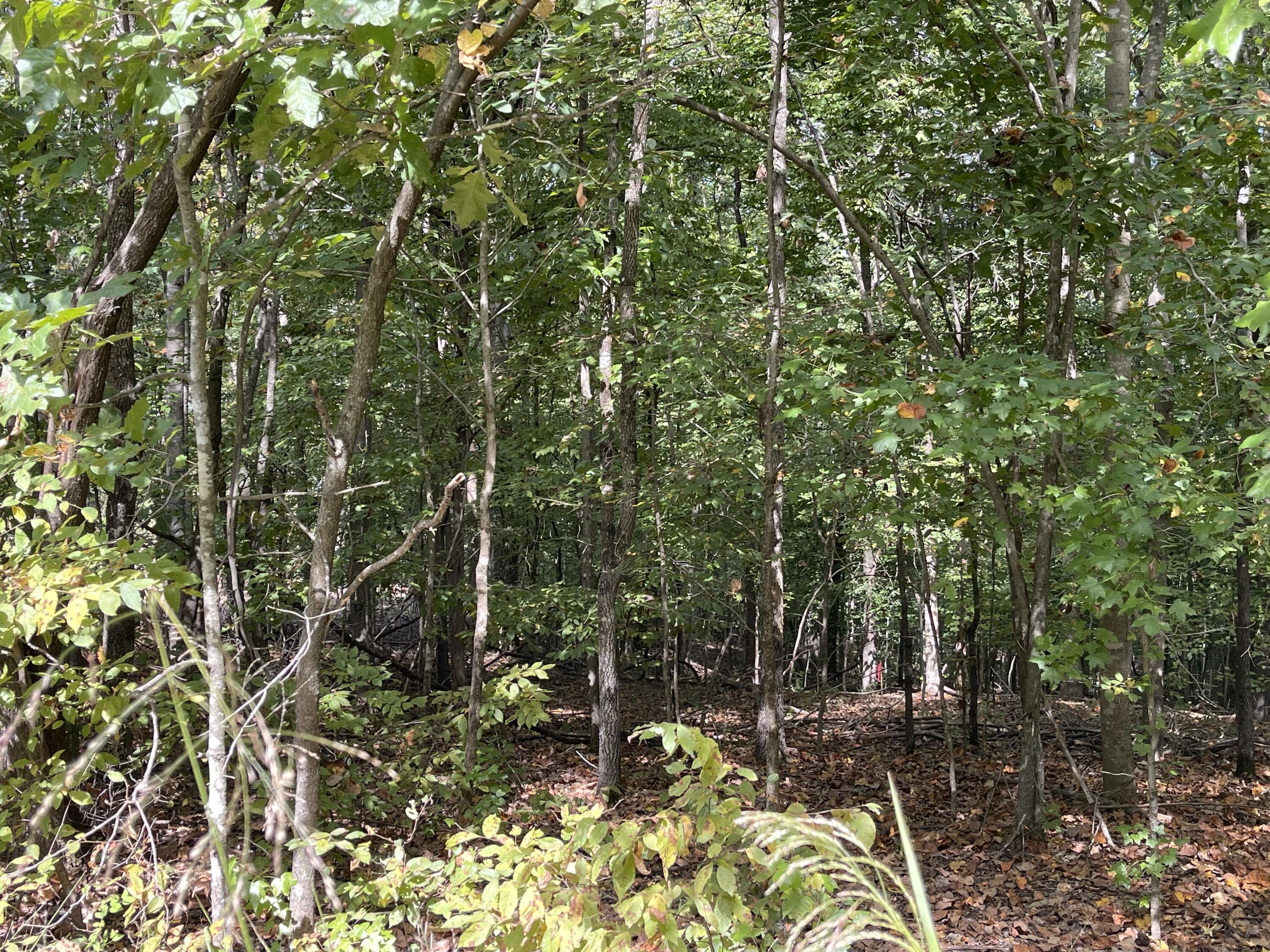 Lot 20 Windsor Way Property Photo 21