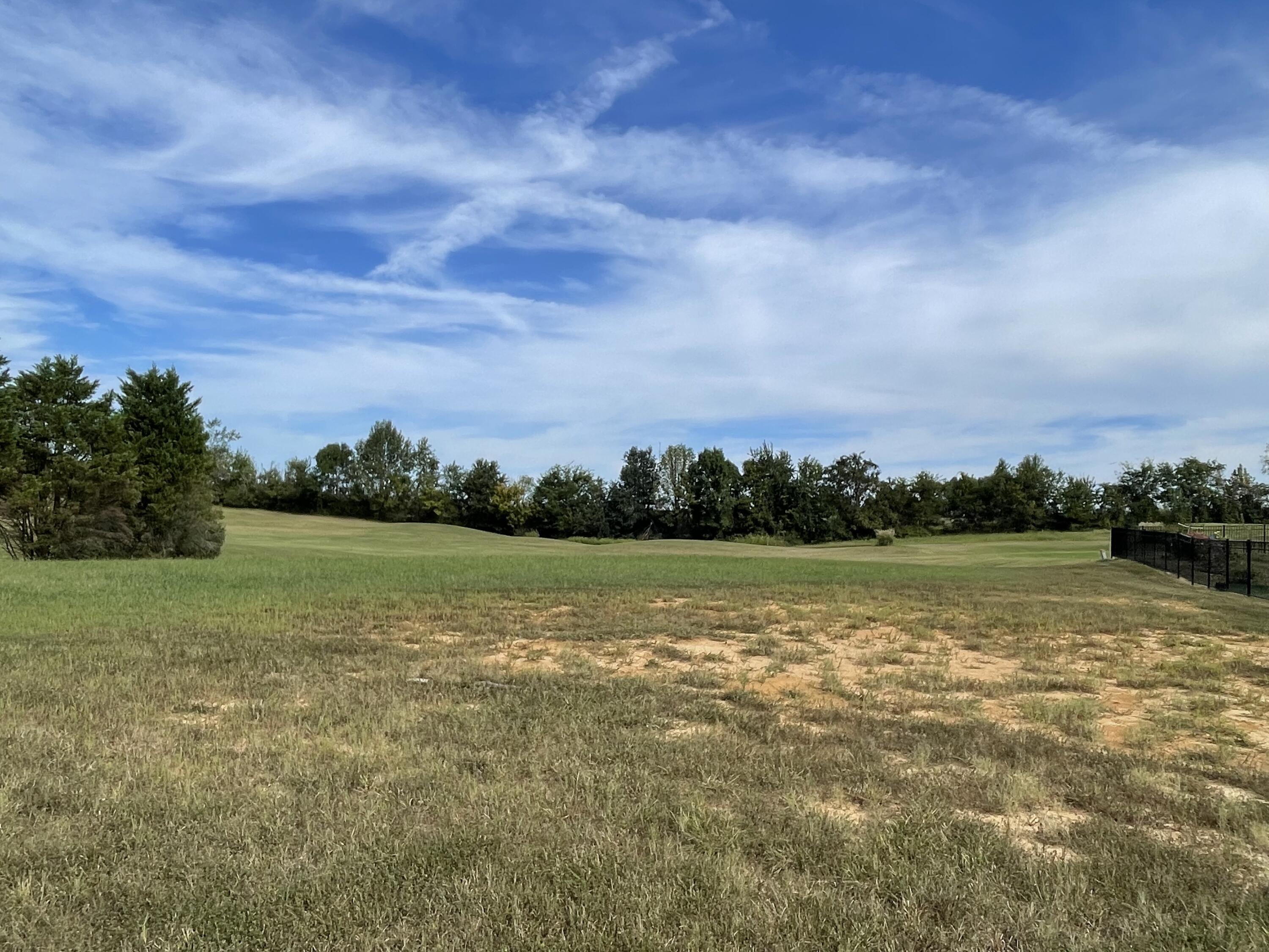 184 Comanche Drive Lot #30 Property Photo 2