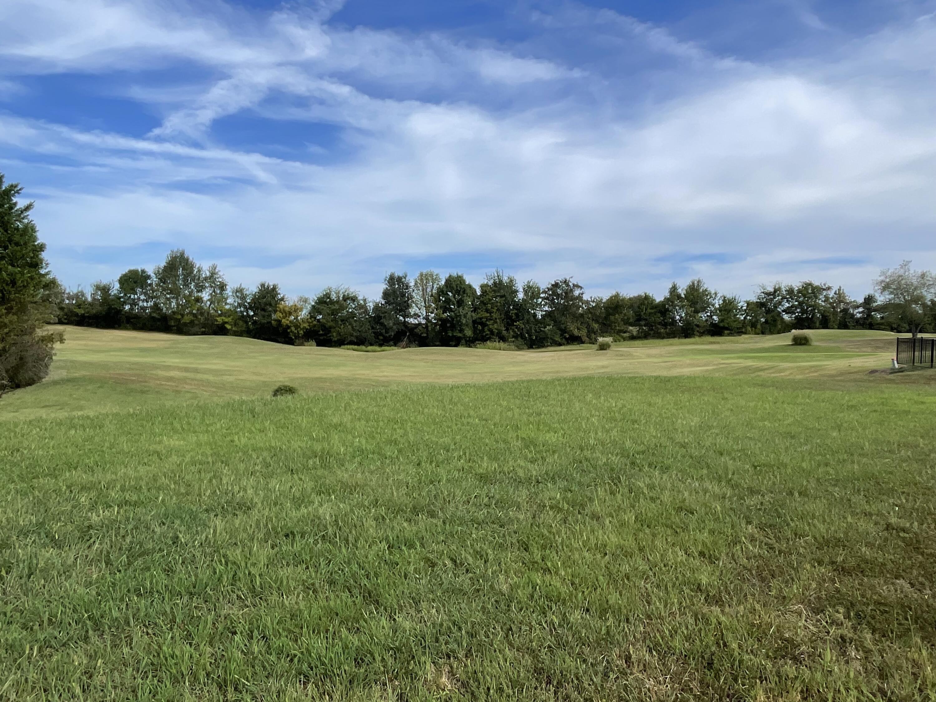 184 Comanche Drive Lot #30 Property Photo 3
