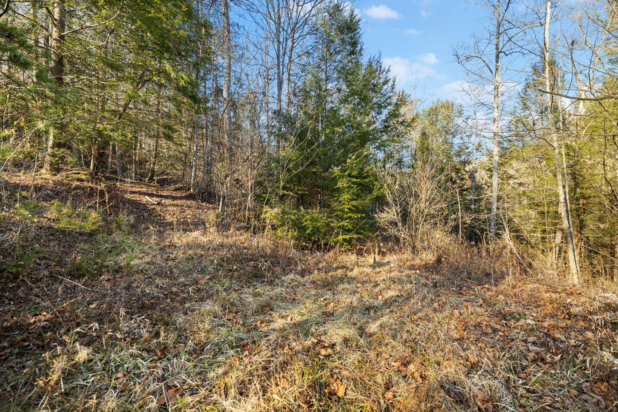 22 Still Hand Property Photo 48