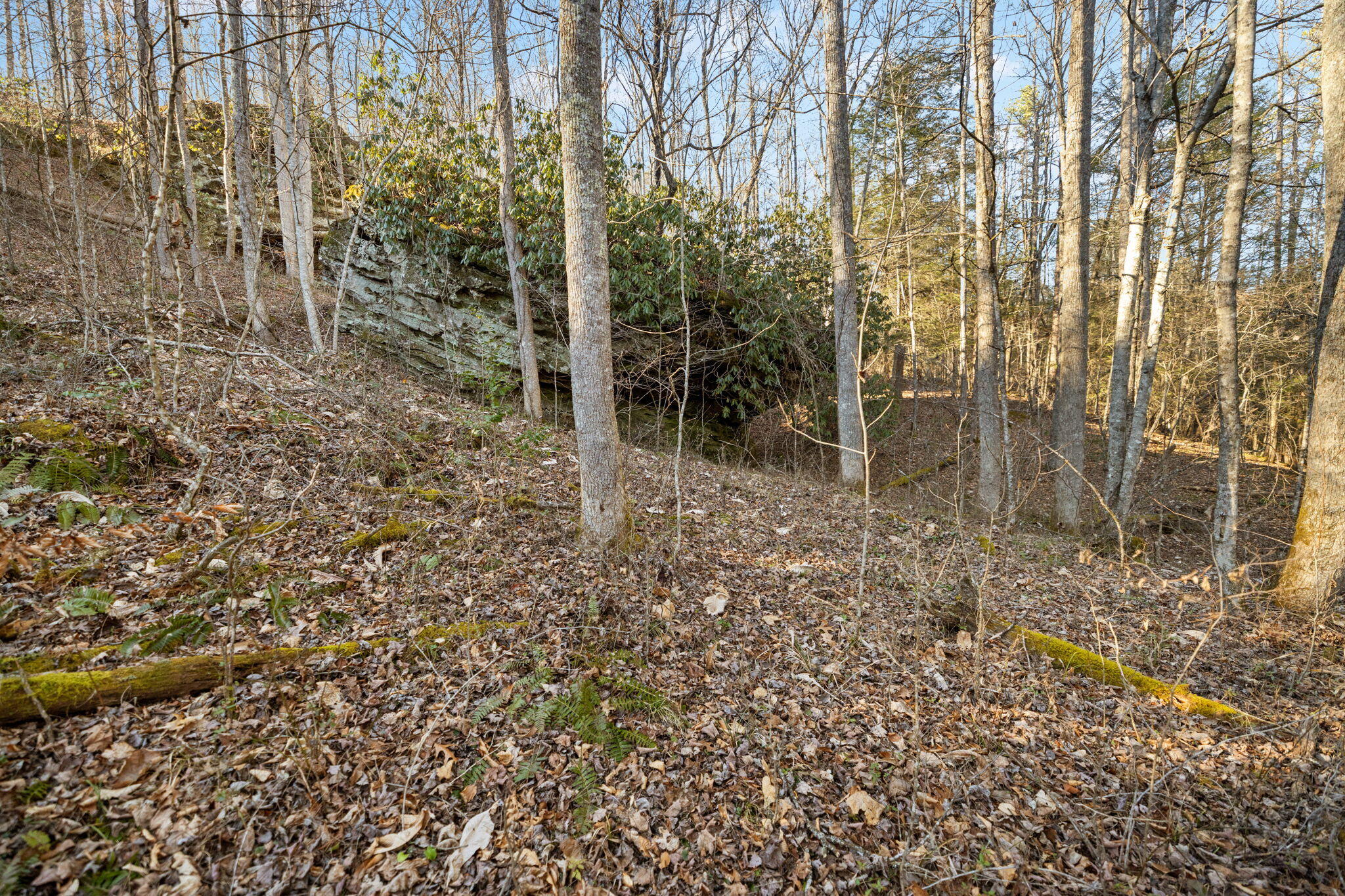22 Still Hand Property Photo 49