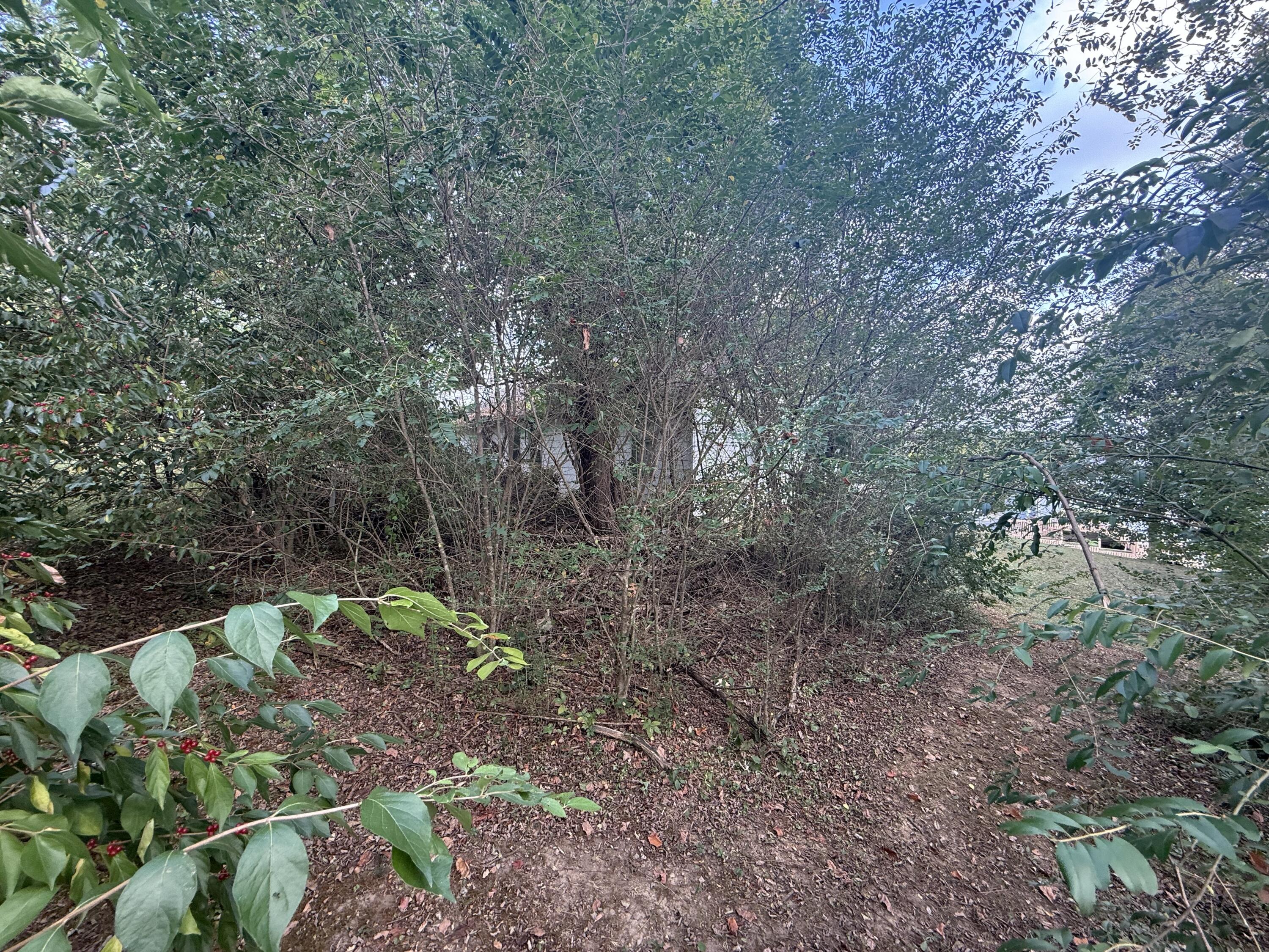 101 Balsinger Street Property Photo 8