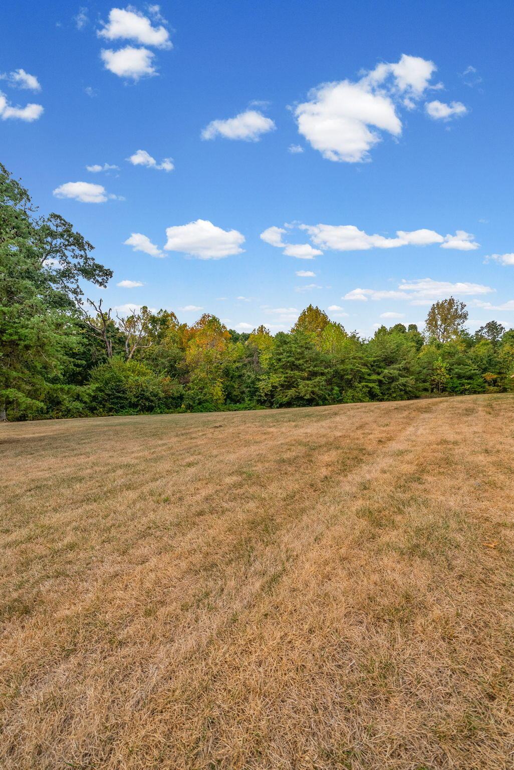 1168 Empire Road Property Photo 88