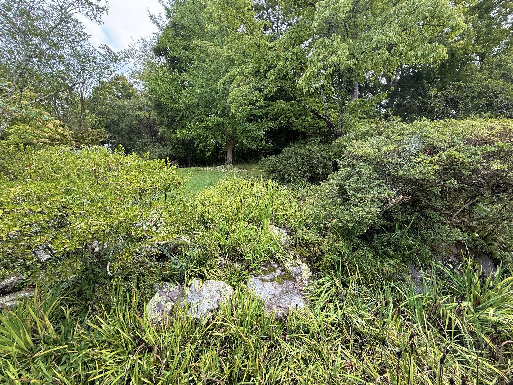 412 Englewood Road Property Photo 7