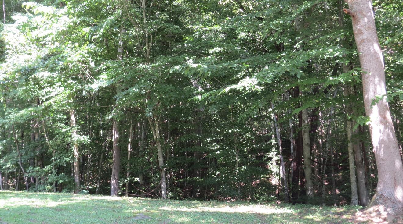 110 Mill Drive Property Photo 8
