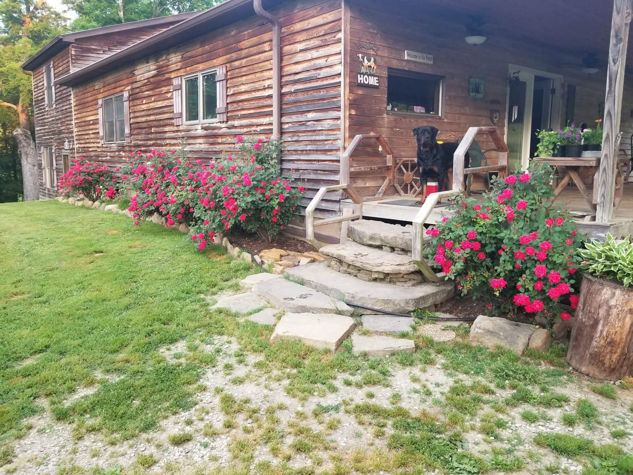 9430 Kentucky 779 Property Photo 1