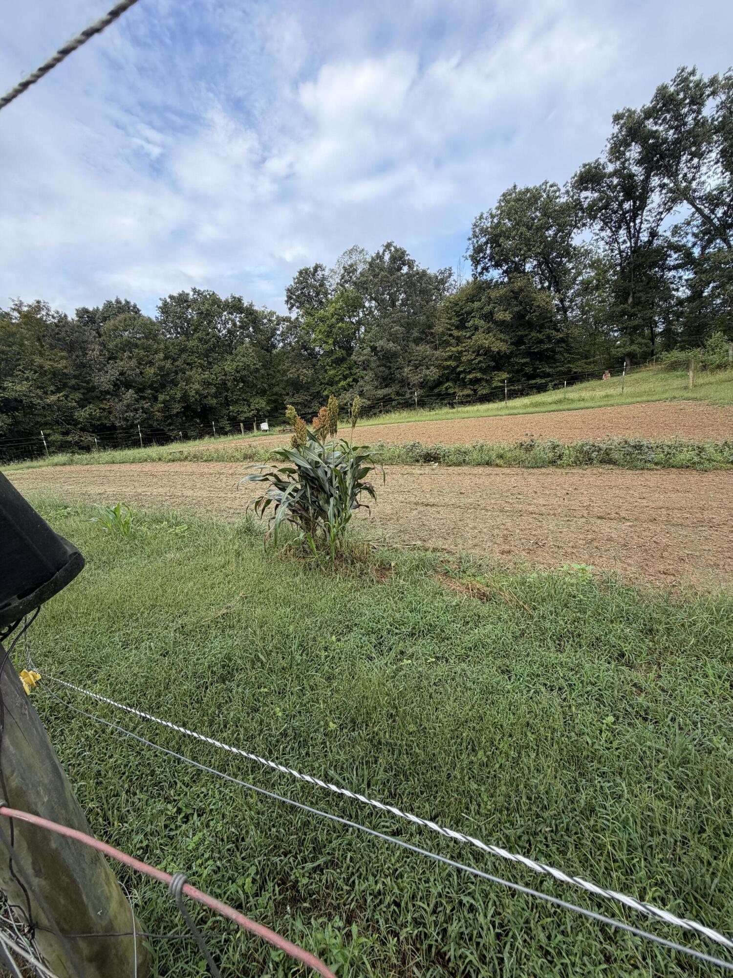 9430 Kentucky 779 Property Photo 14