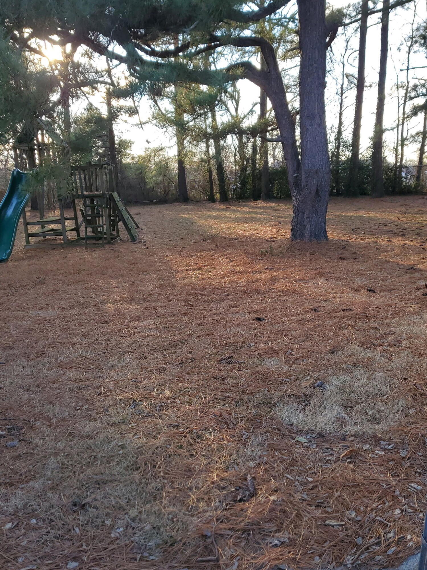 621 Evergreen Park Drive Property Photo 14