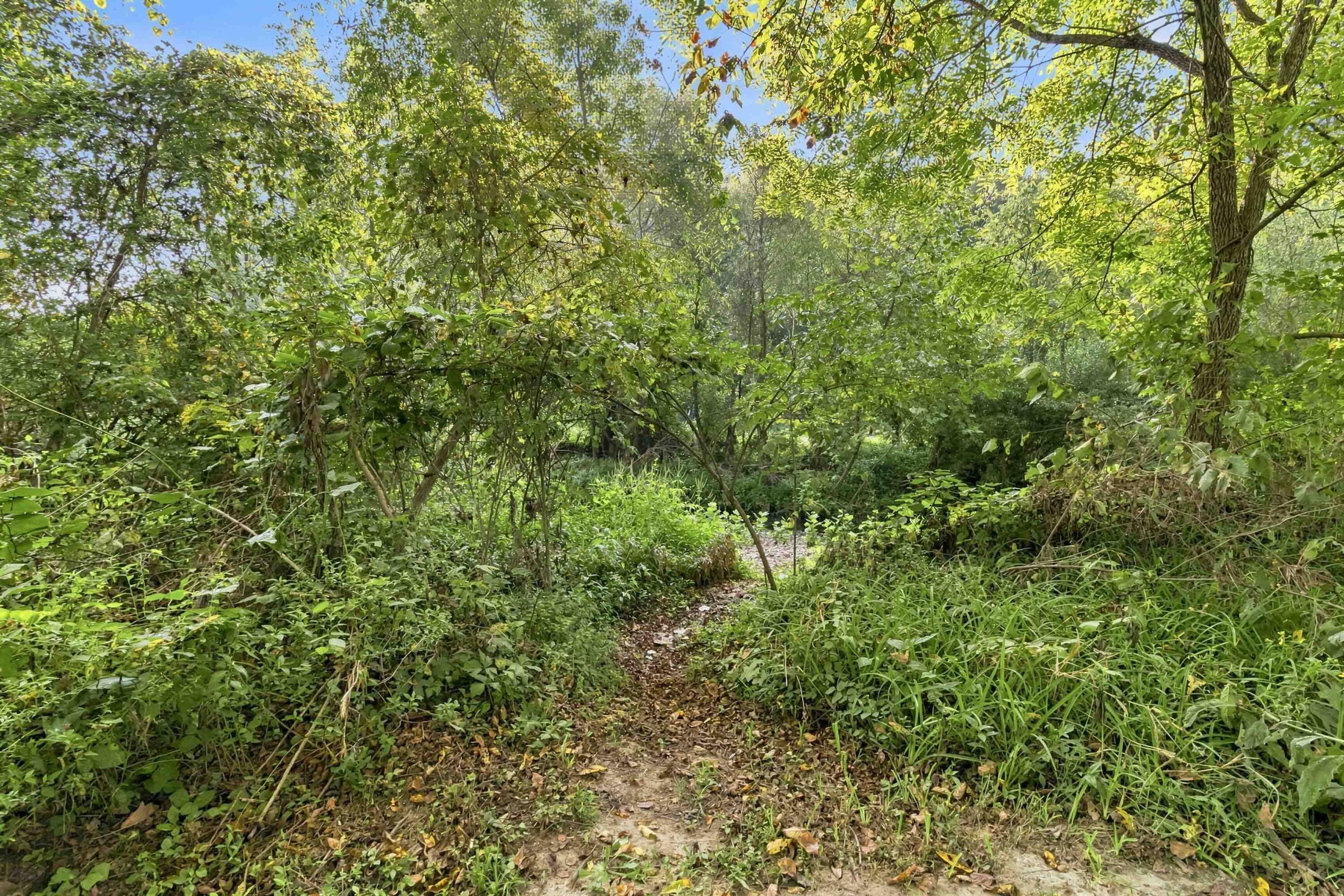 2391 Disputanta Road Property Photo 56