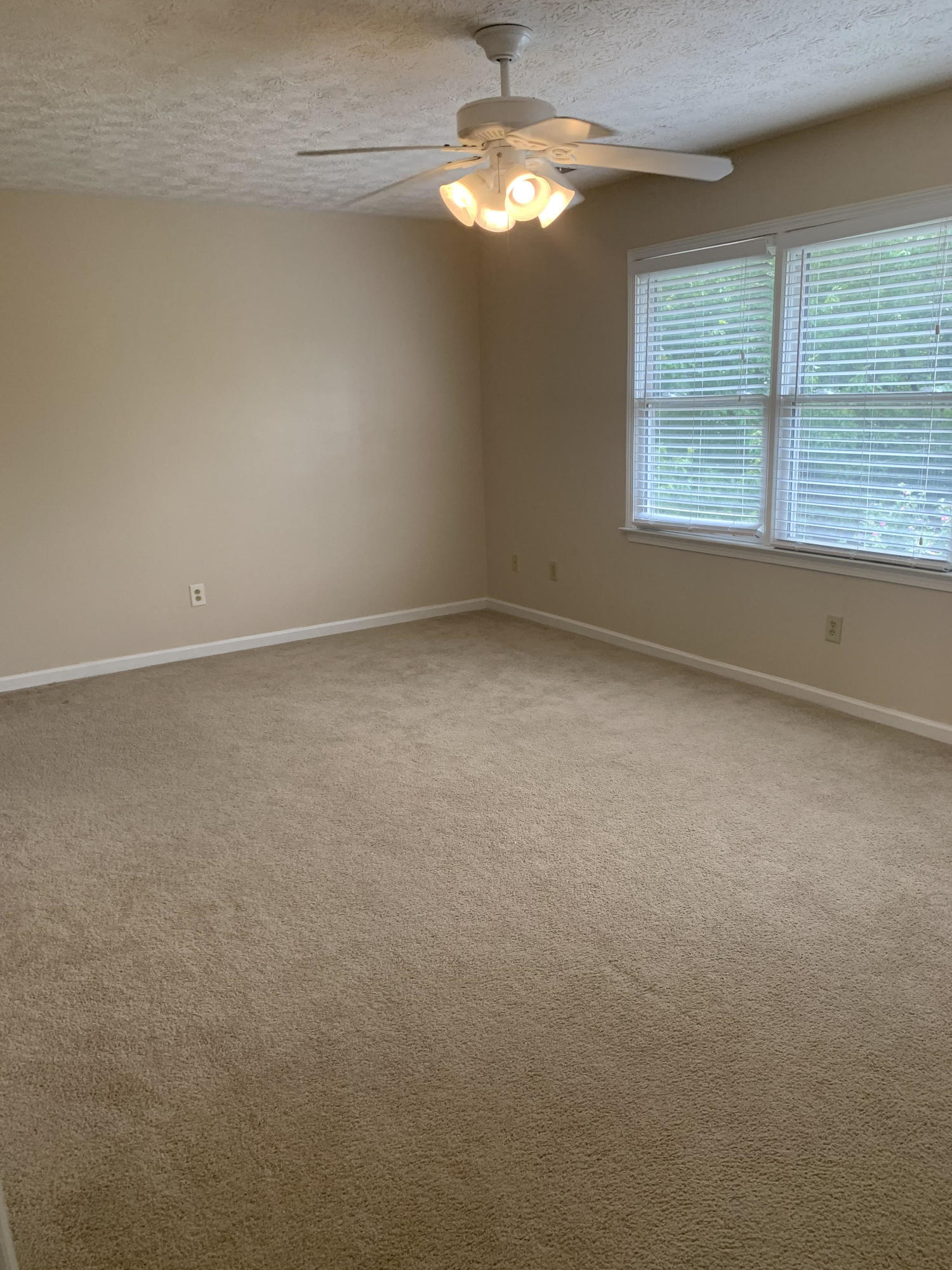 3692 White Pine Drive Property Photo 14