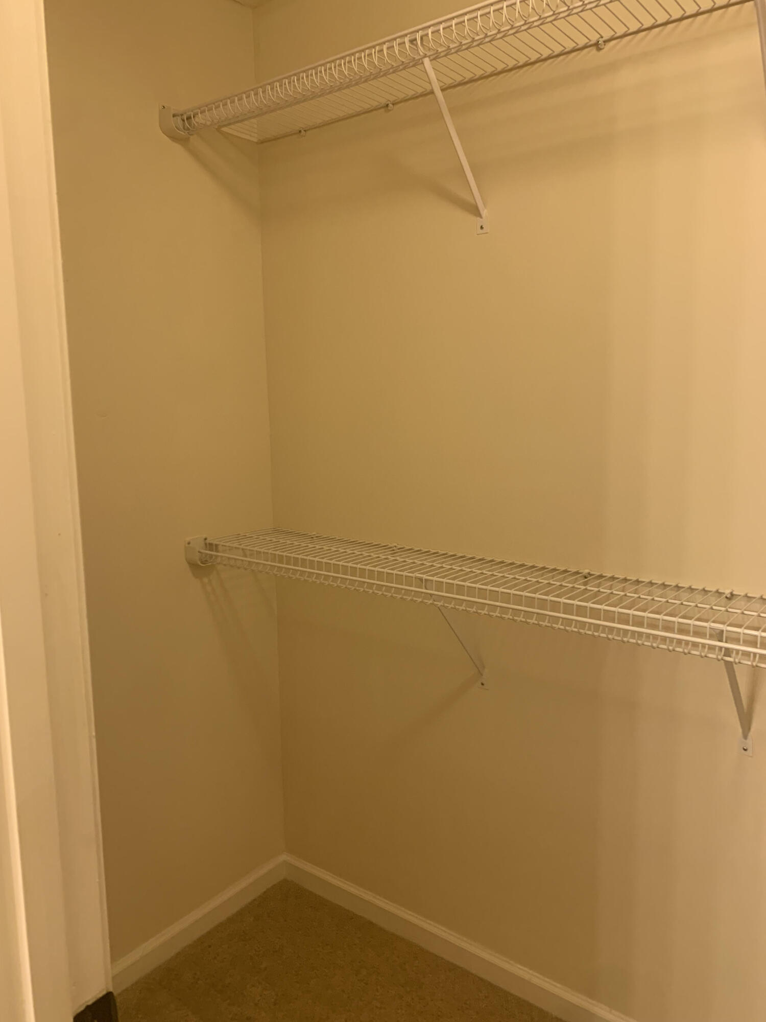 3692 White Pine Drive Property Photo 21