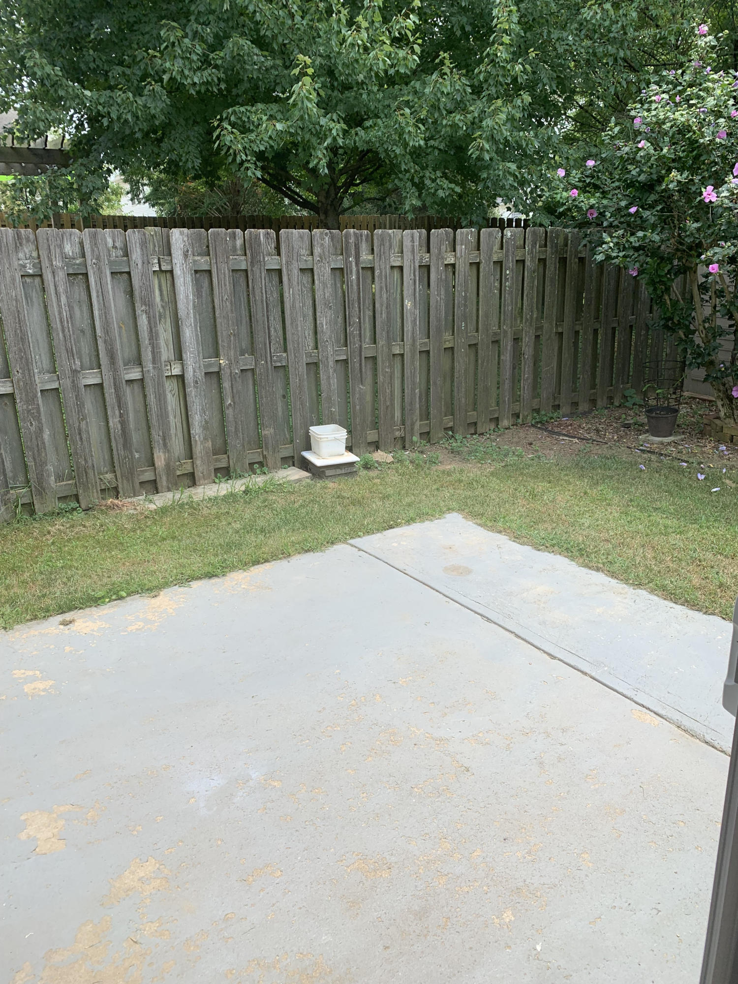3692 White Pine Drive Property Photo 37