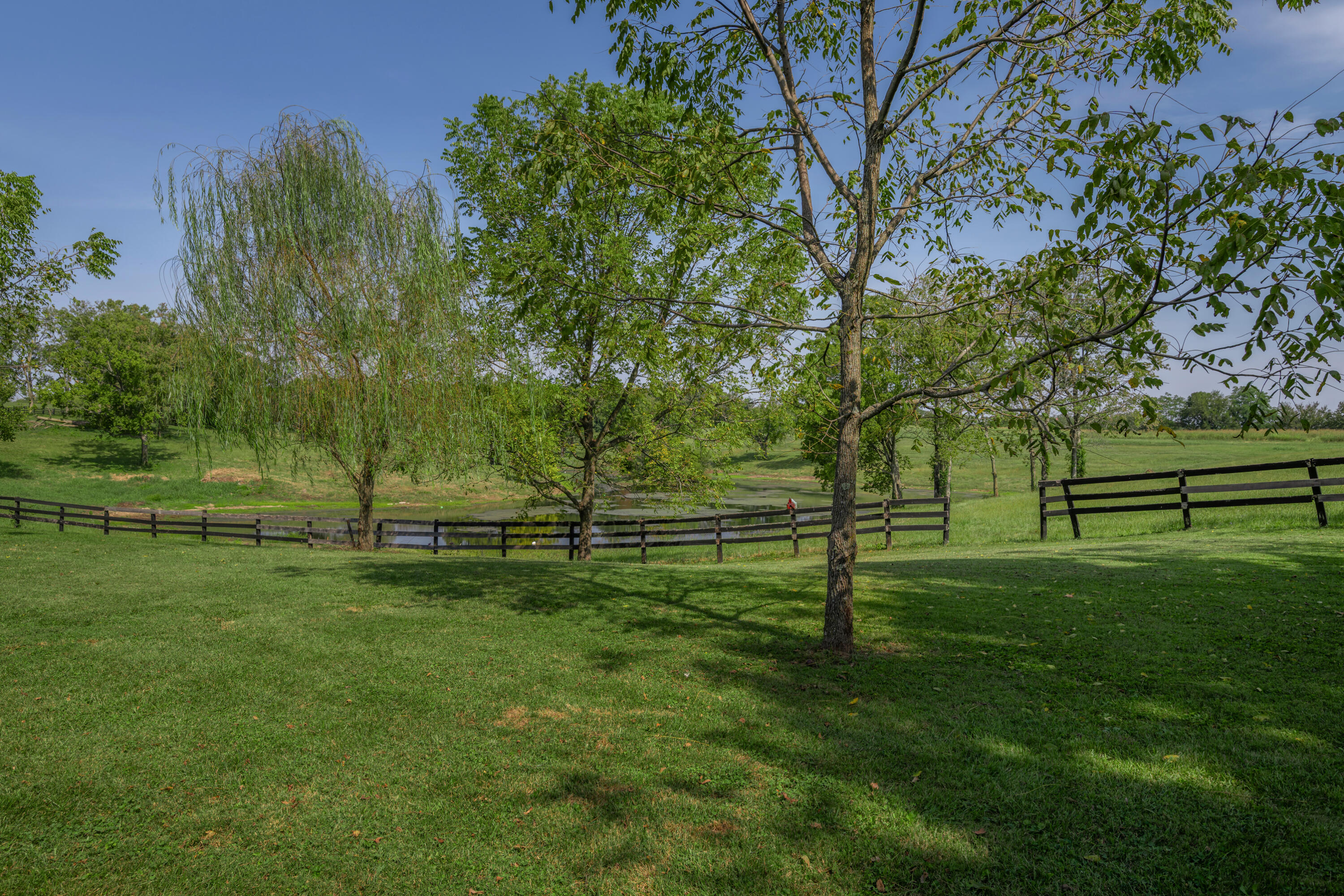 5487 Athens Walnut Hill Pike Property Photo 93