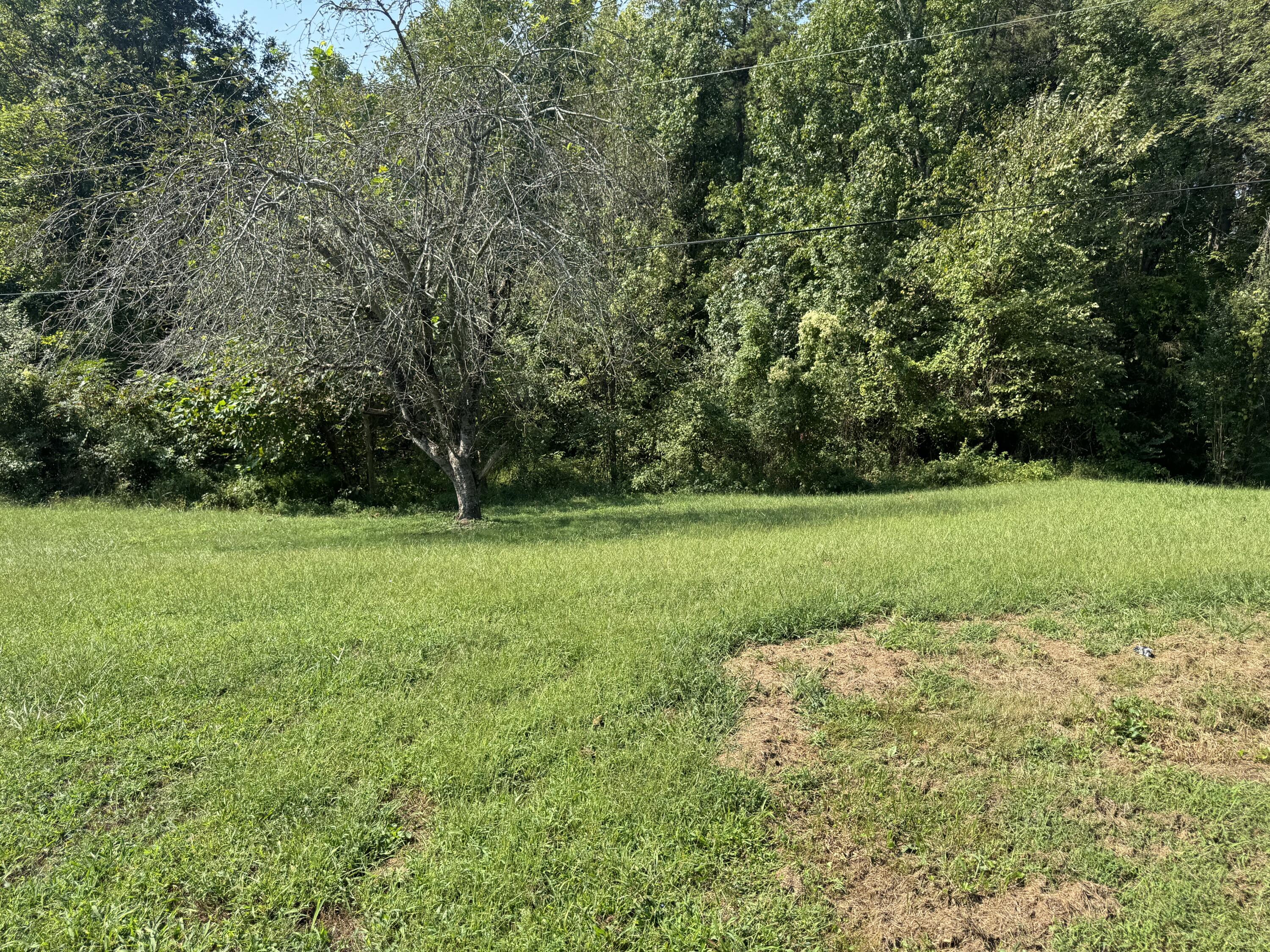 743 743 Hamblin Hollow Rd Road Property Photo 15