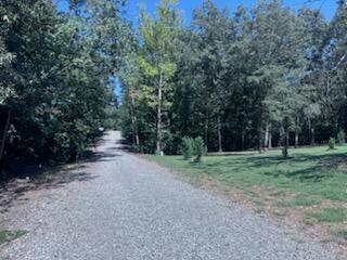 75 Serenity Drive Property Photo 5