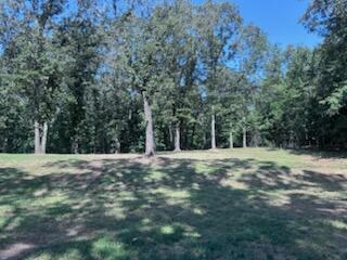 75 Serenity Drive Property Photo 11