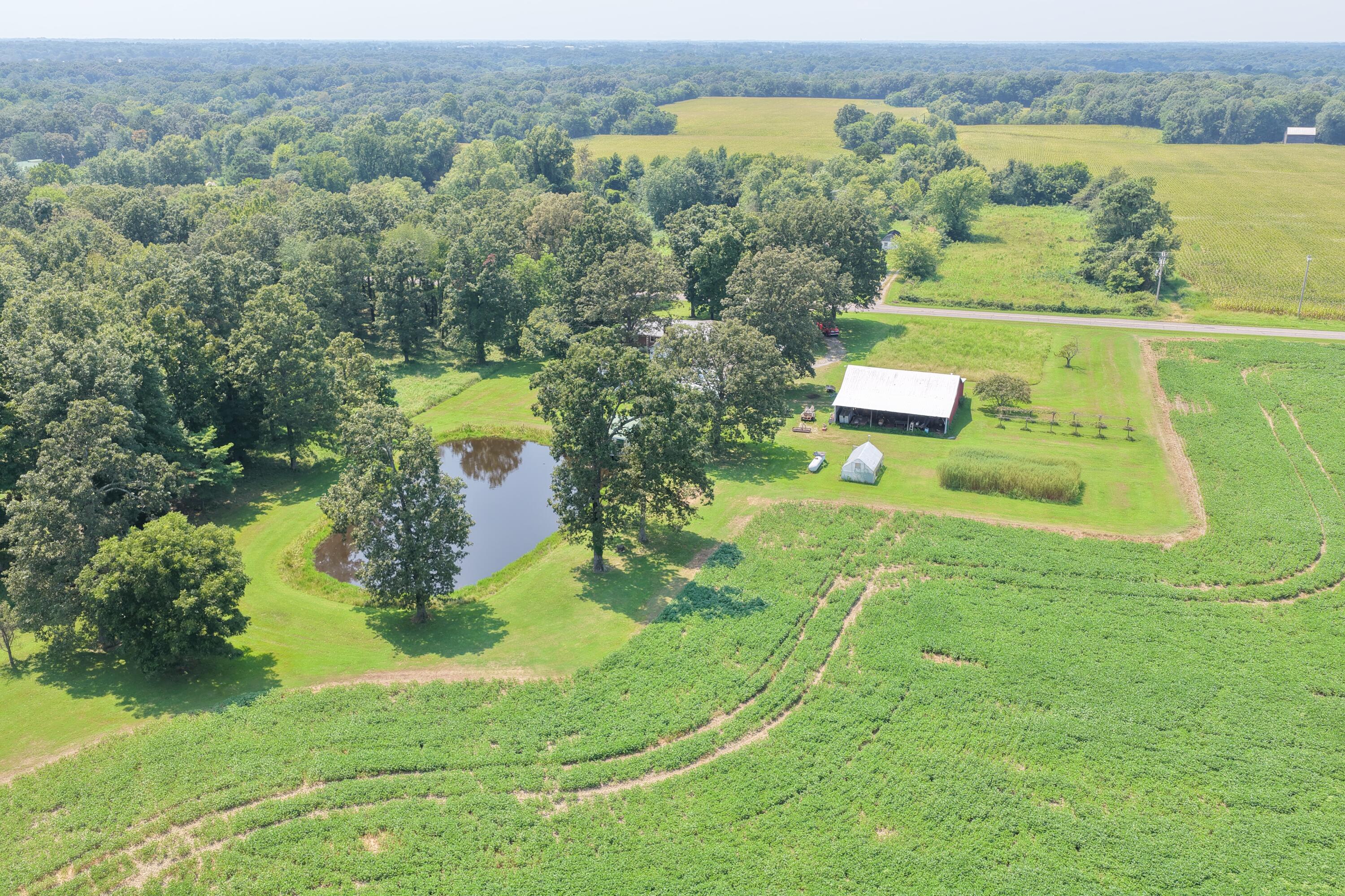 2248 Kentucky 564 Property Photo 13