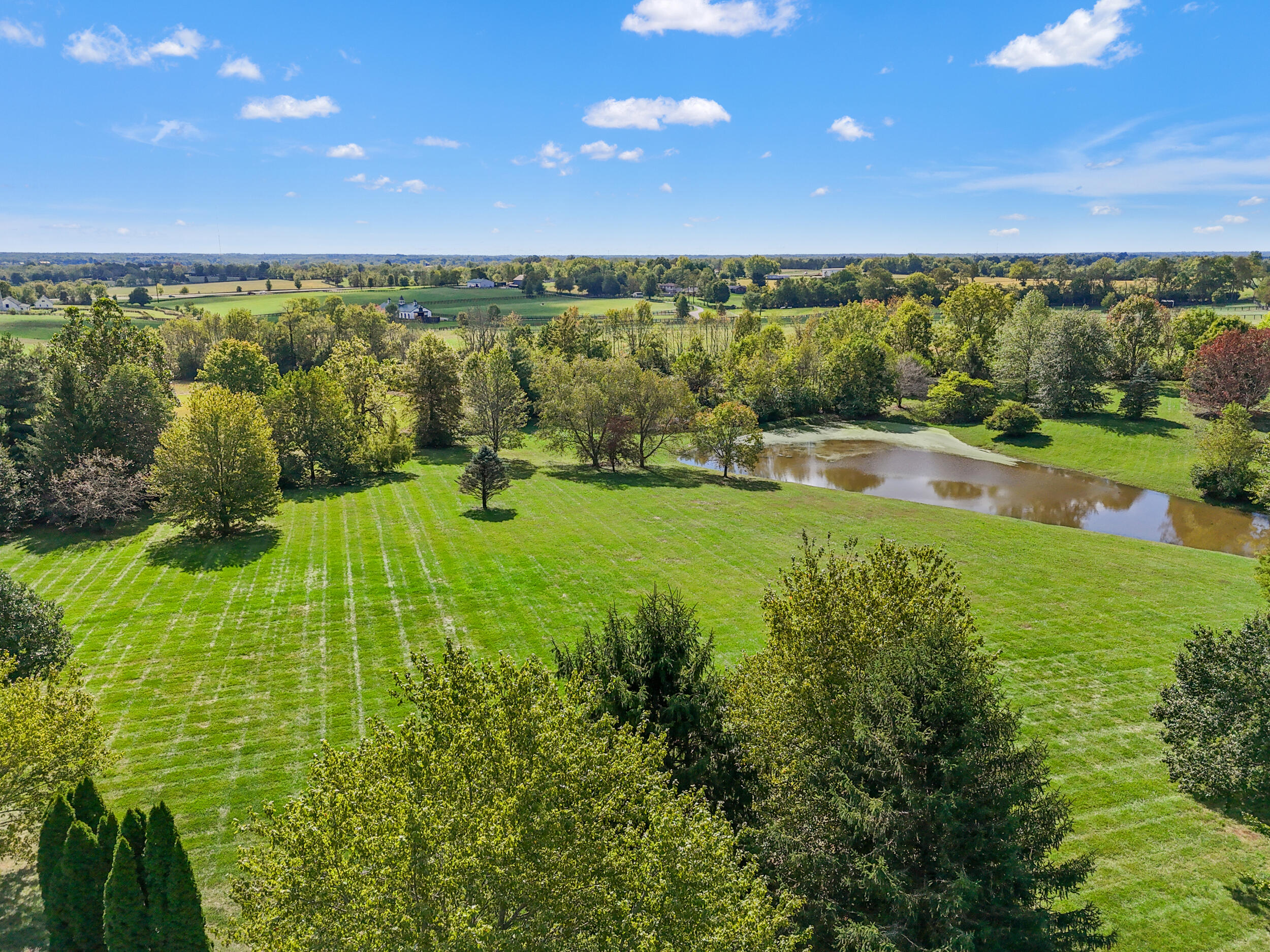 229 Harp Innis Road Property Photo 83