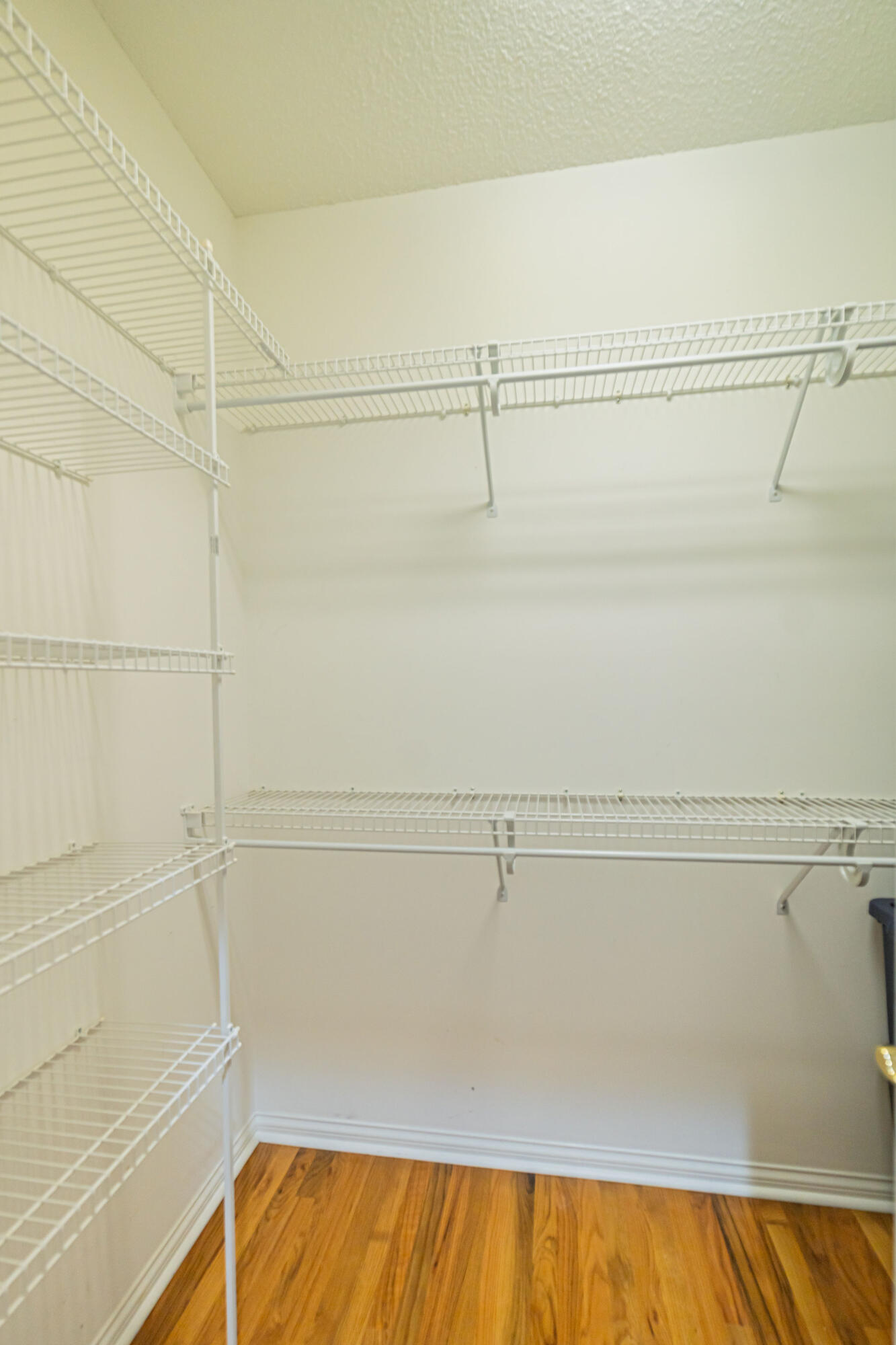 6460 Gardenview Drive Property Photo 28